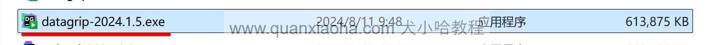 双击 DataGrip 2024.1.5 安装包