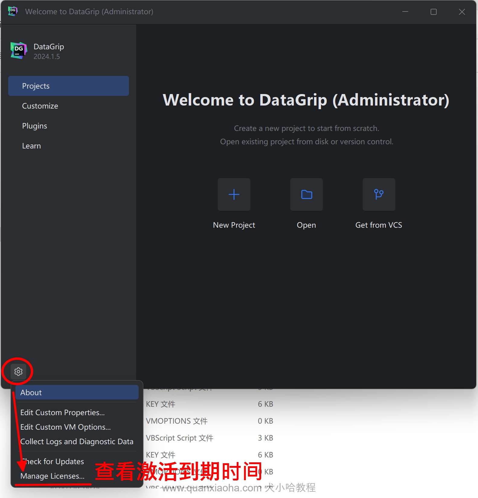 检查 DataGrip 2024.2.2 的到期时间