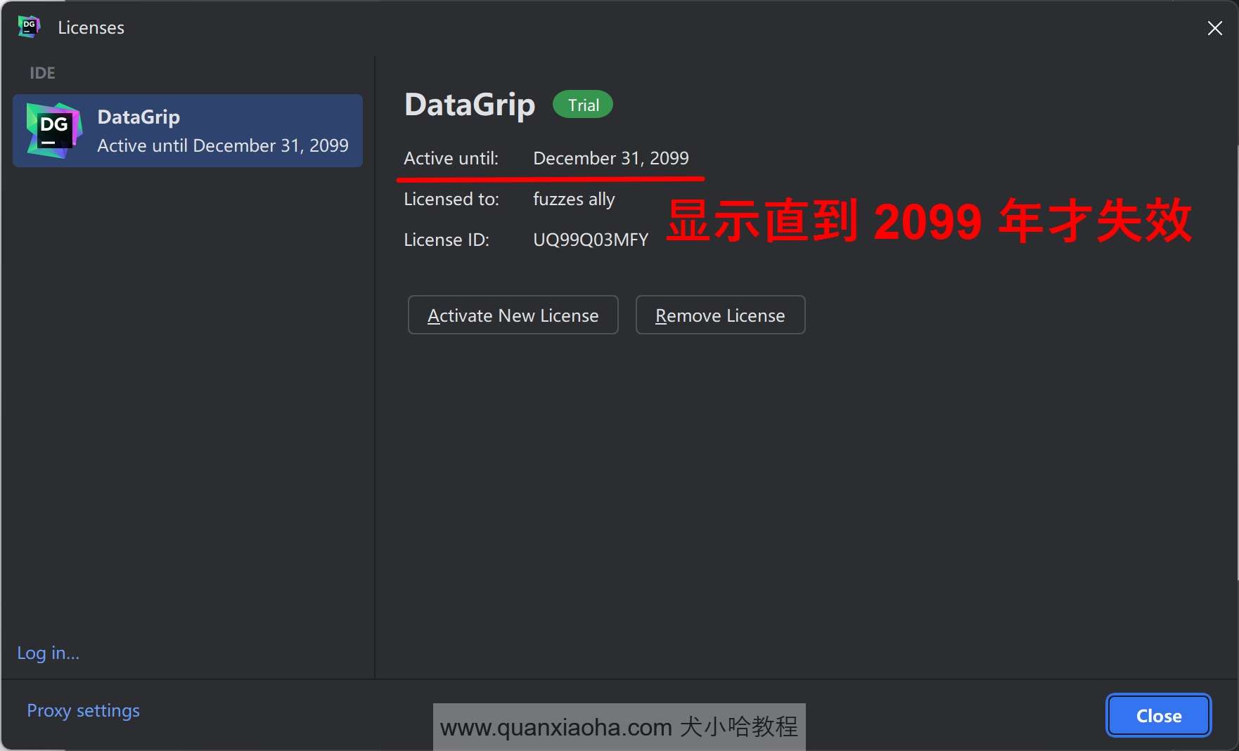 DataGrip 2024.1.5 已经成功激活到 2099 年