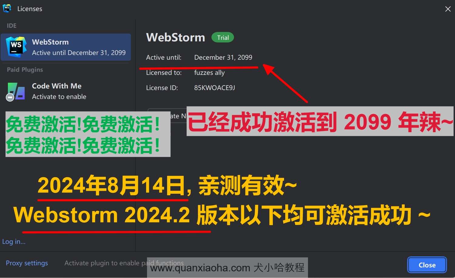 Webstorm  2024.2 版本激活到 2099 年截图