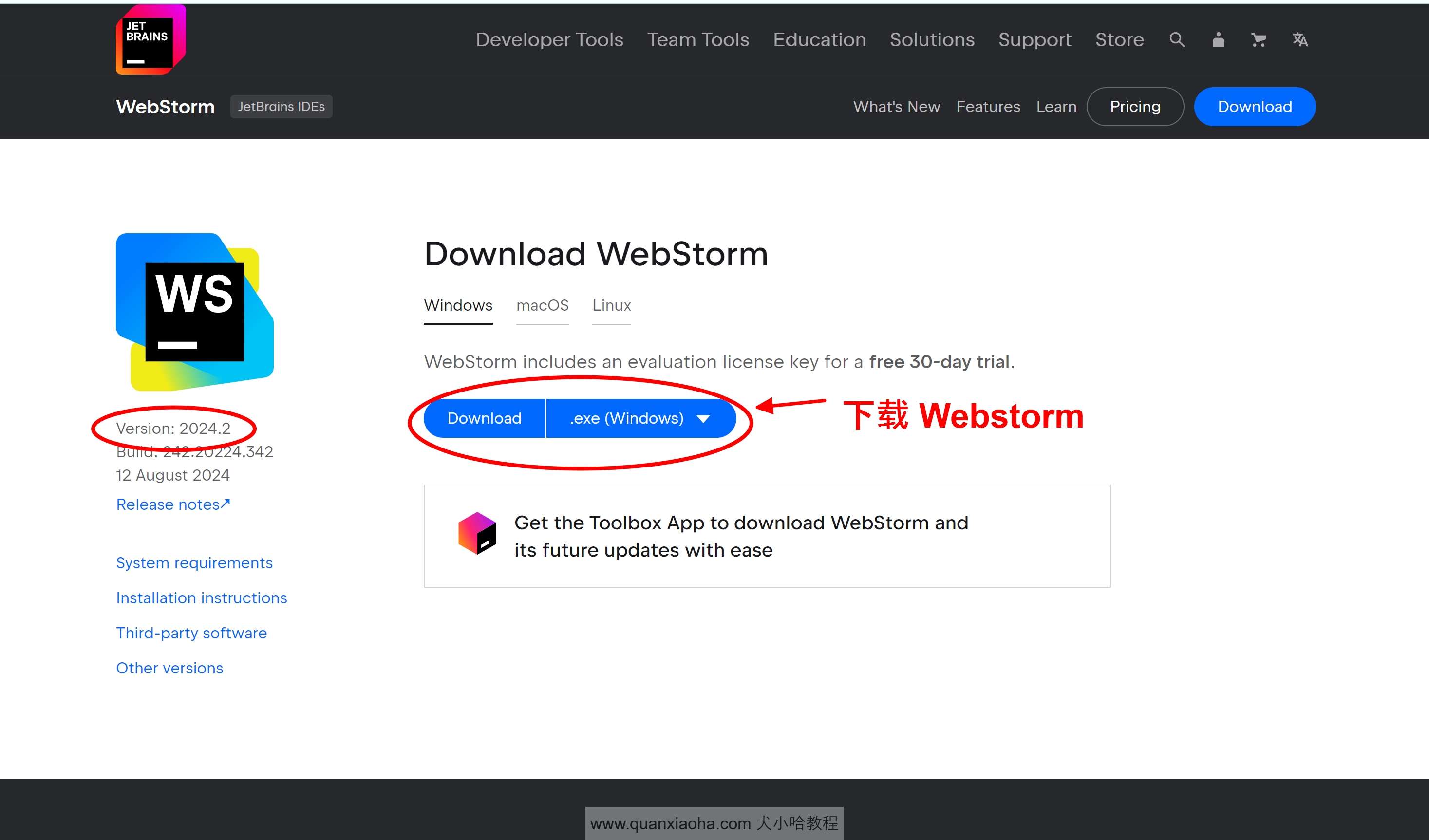 下载 Webstorm  2024.2 版本安装包