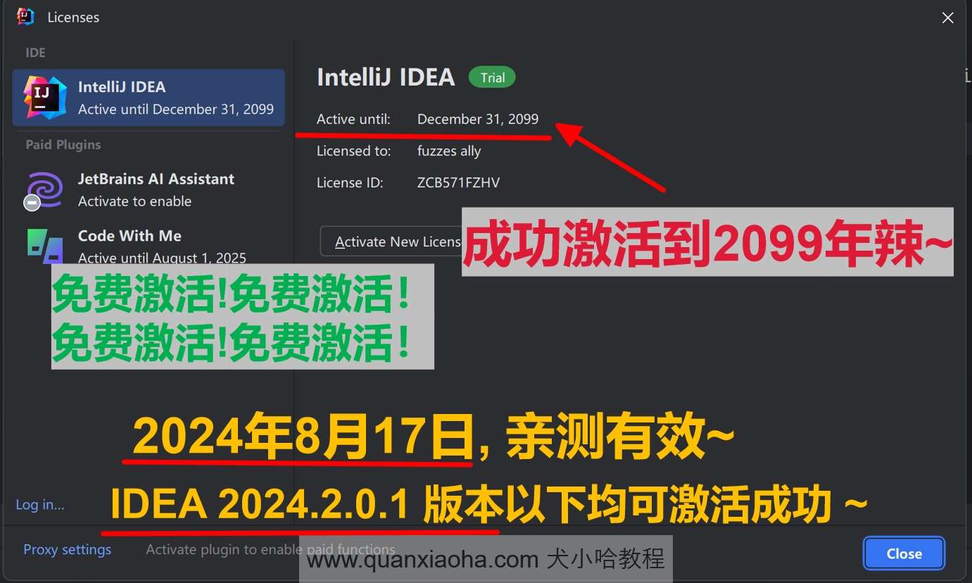 IDEA 2024.2.0.1 最新破解版安装教程（附激活码，至2099年~）