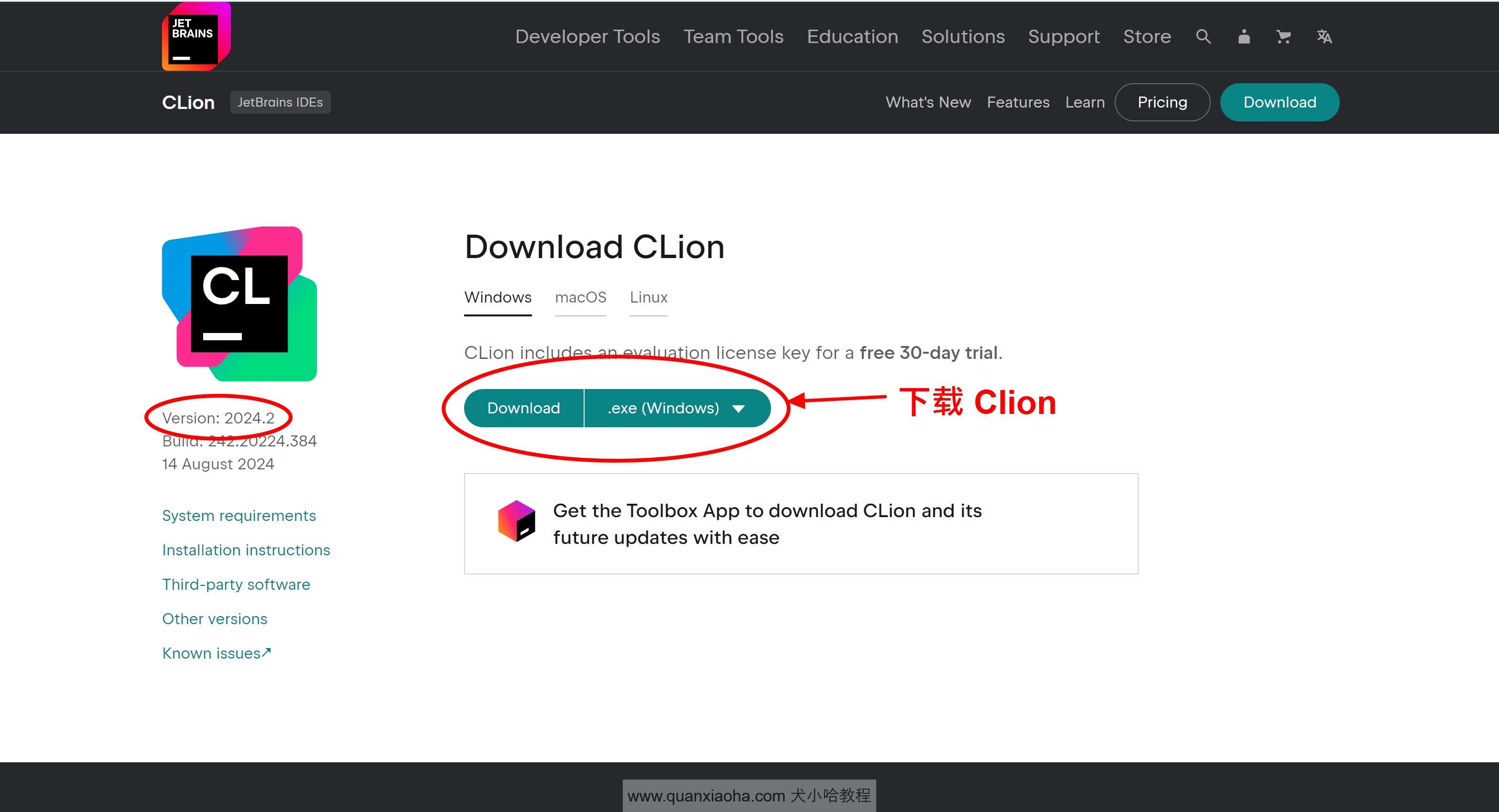 下载 Clion 2024.2 版本安装包