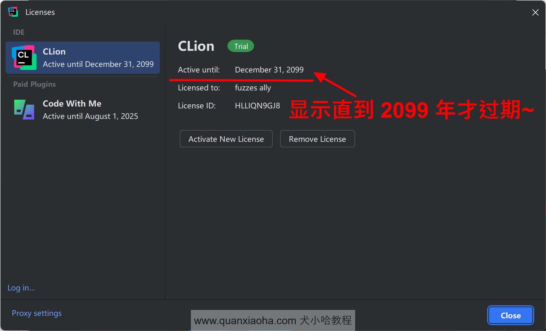 Clion 2024.2 已经成功激活到 2099 年