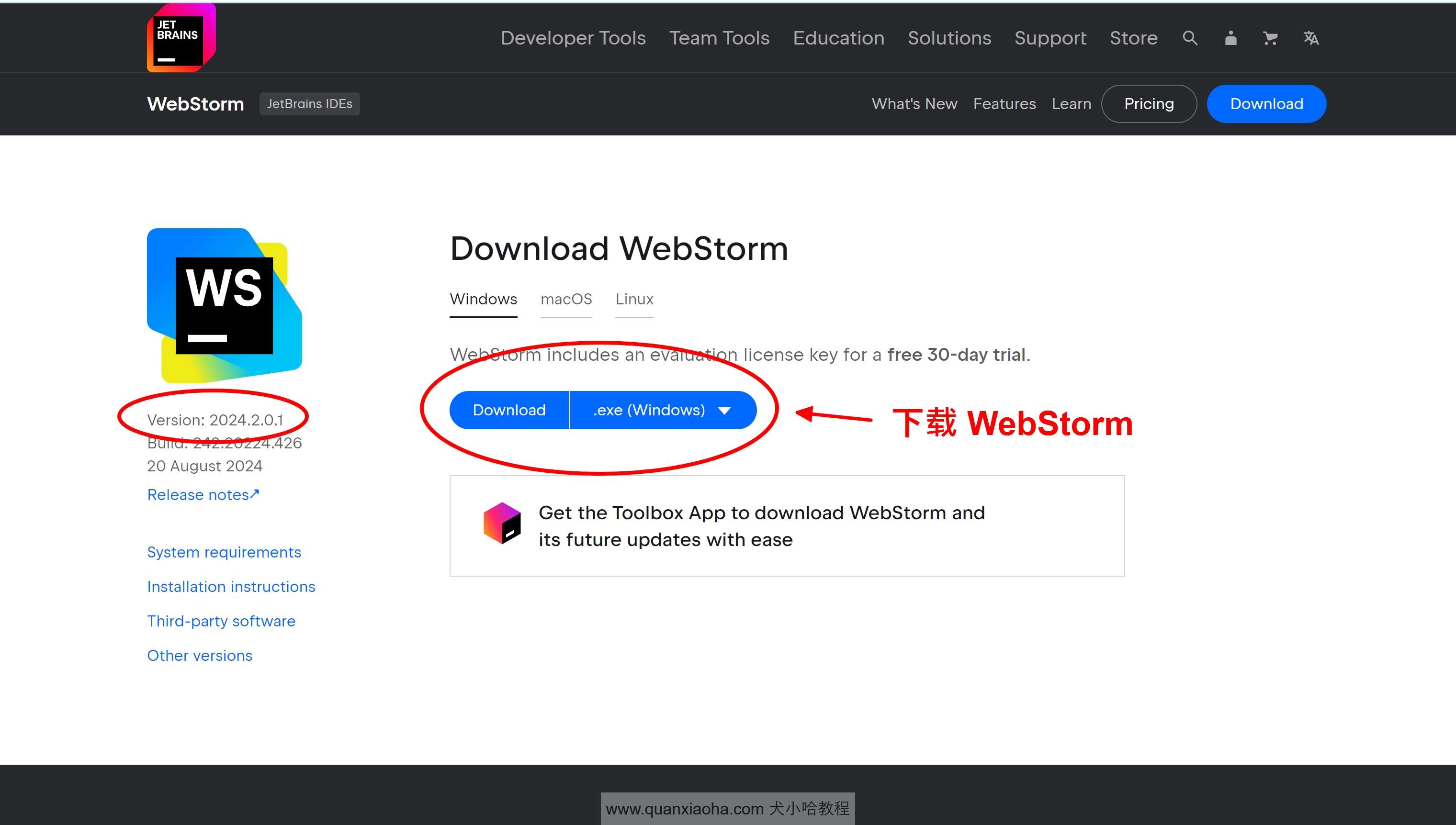 下载 Webstorm  2024.2.0.1 版本安装包