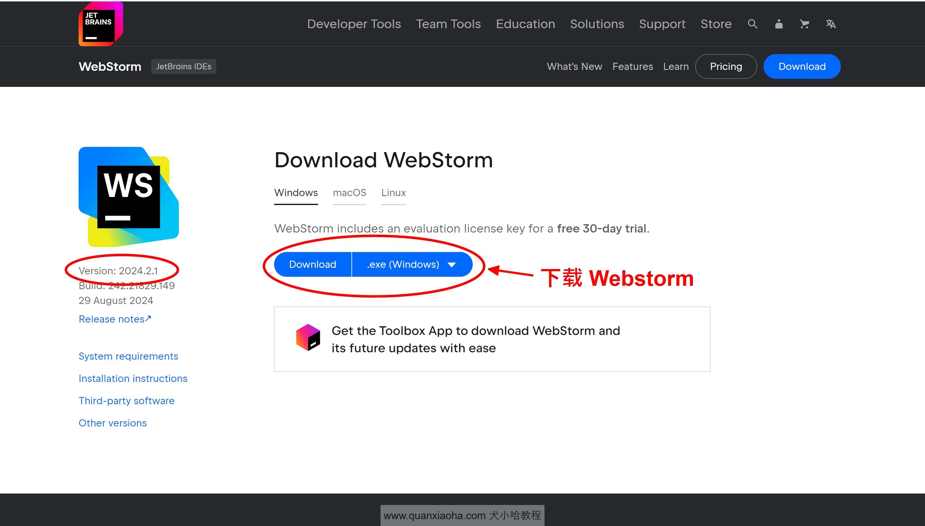 下载 Webstorm  2024.2.1 版本安装包