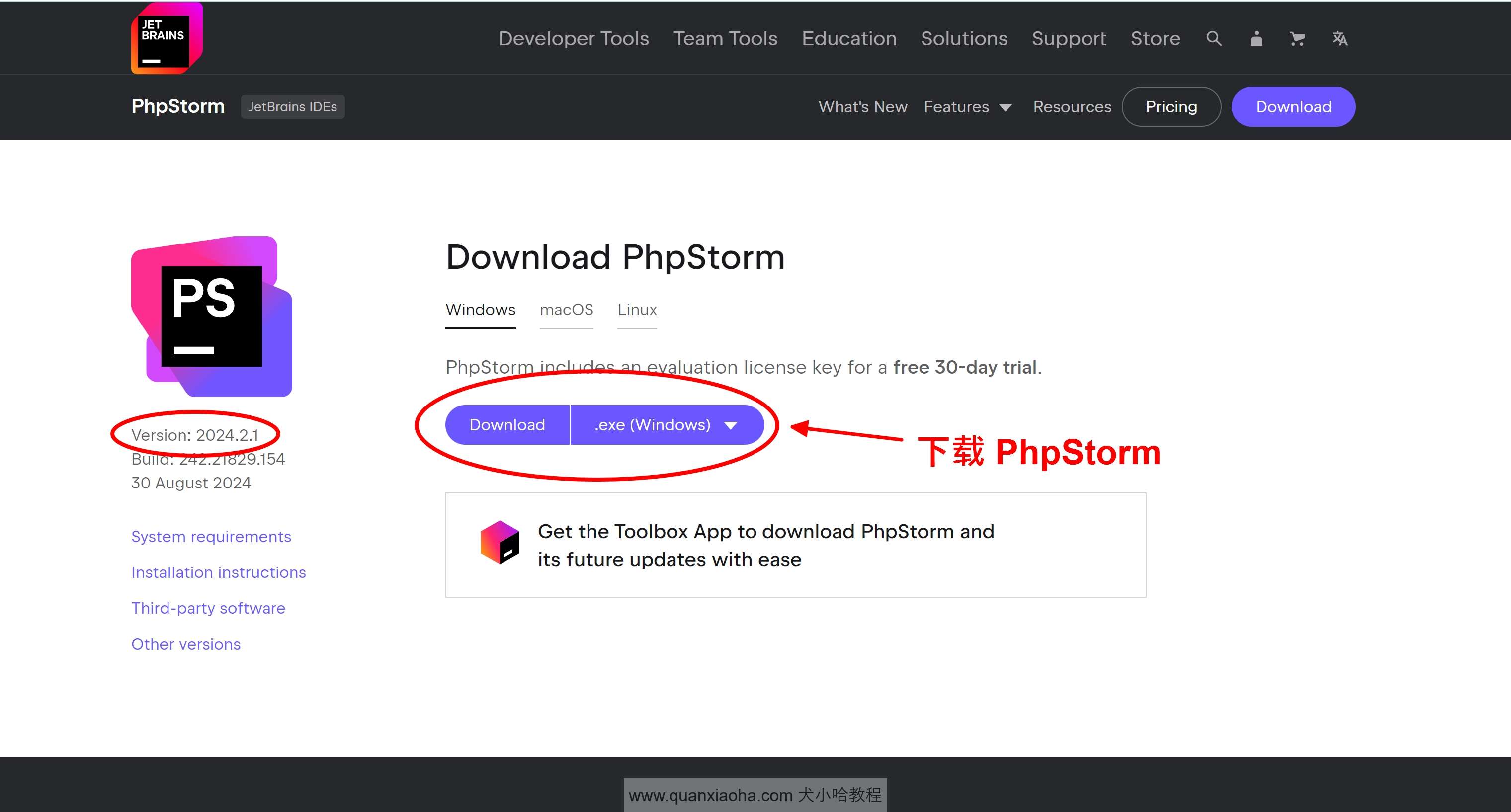 下载 PhpStorm  2024.2.1 版本安装包