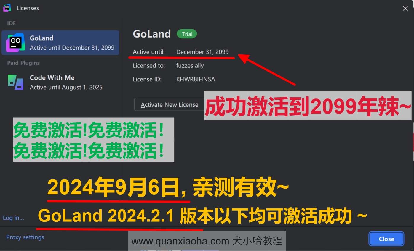 GoLand 2024.2.1 最新破解版安装教程（附激活码，至2099年~）