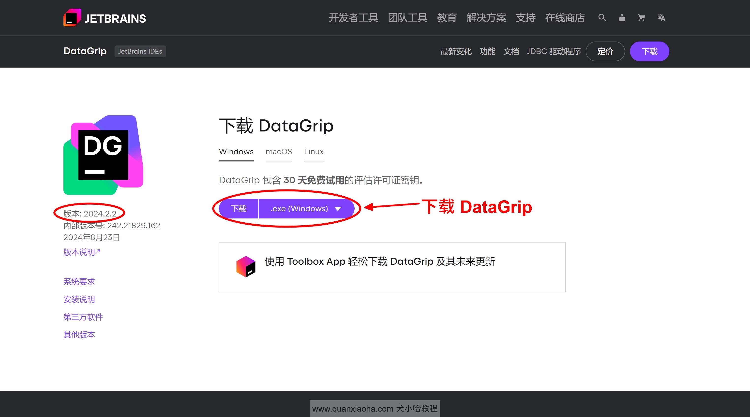 下载 DataGrip 2024.2.2 版本安装包