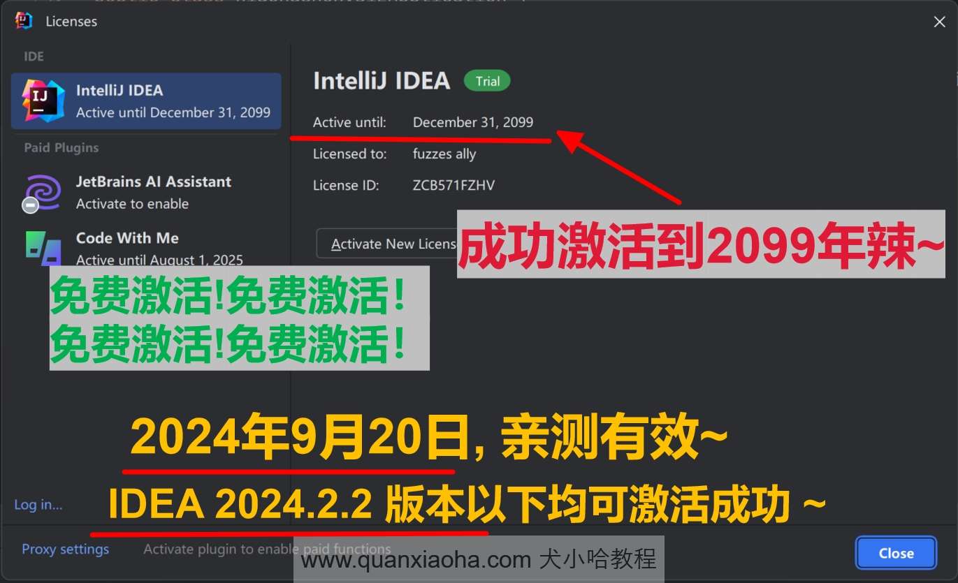 IDEA 2024.2.2 版本激活到 2099 年截图