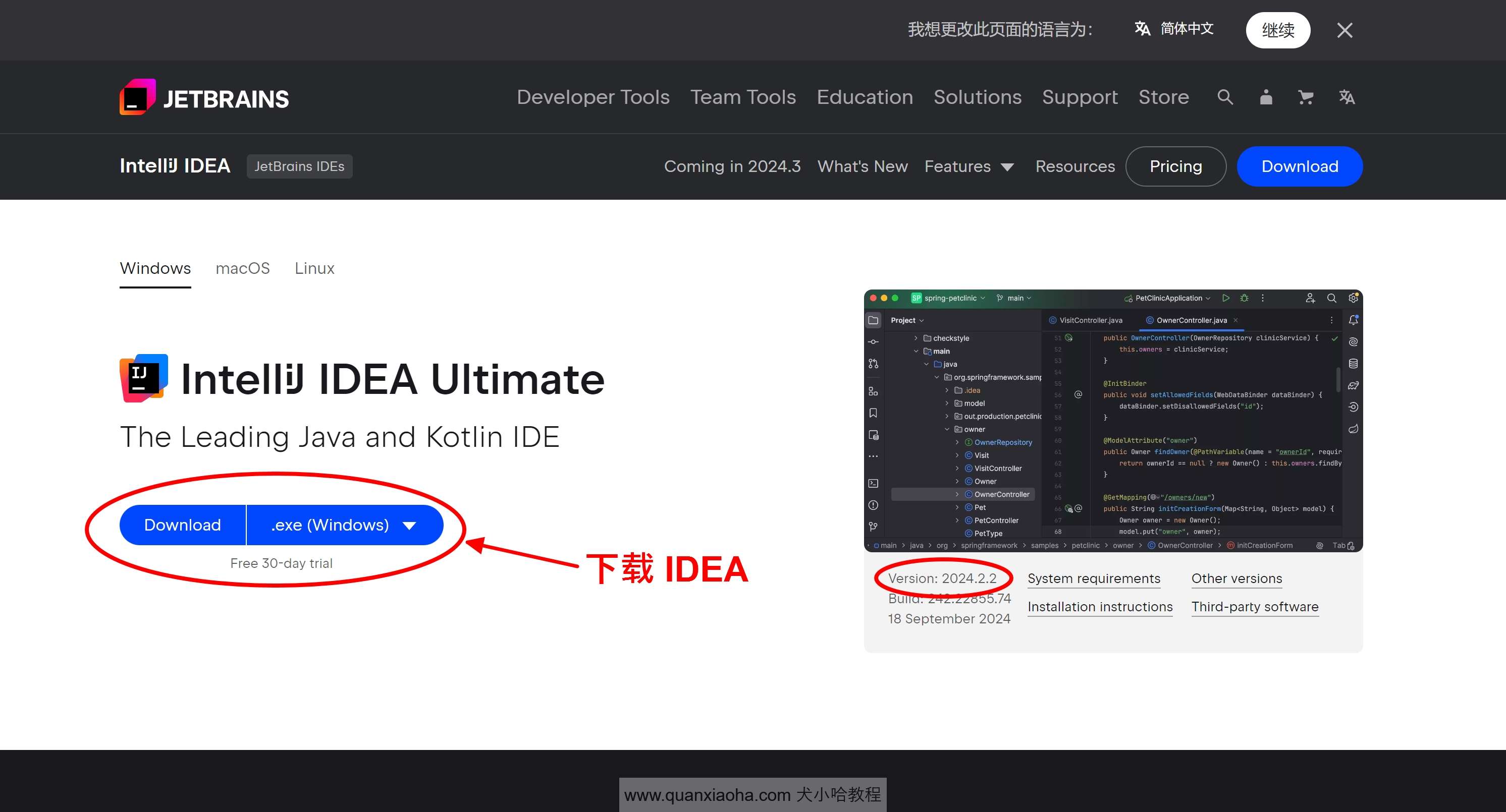 下载 IDEA 2024.2.2 版本安装包