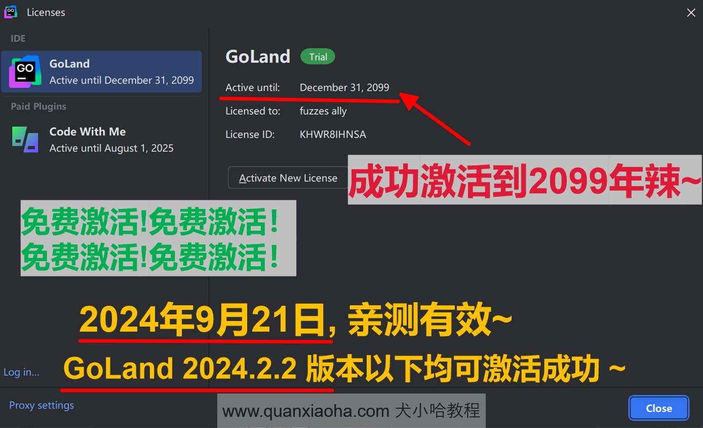 GoLand 2024.2.2 版本激活到 2099 年截图