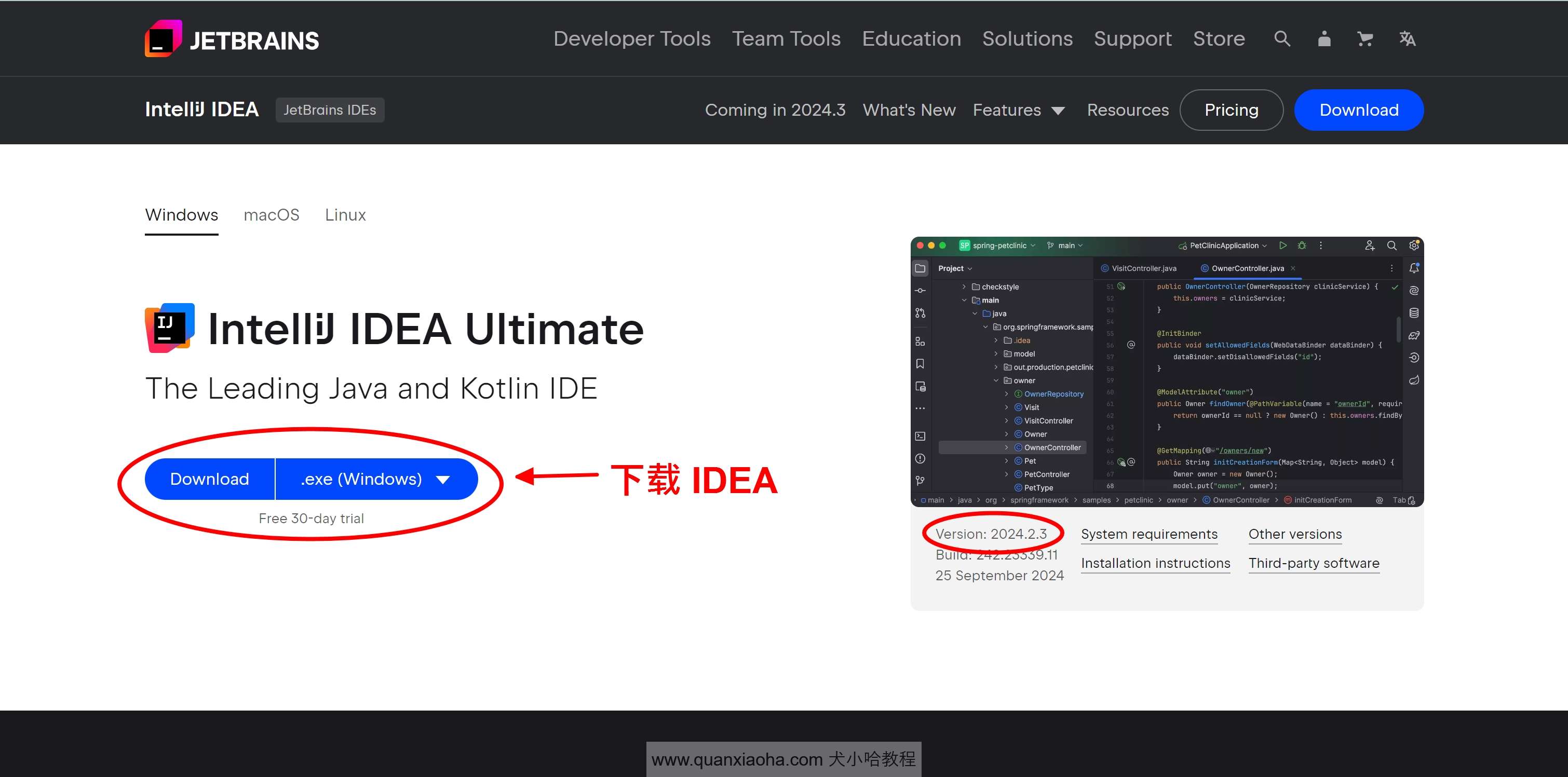 IDEA 2024.2.3 最新破解版安装教程（附激活码，至2099年） 如何破解激活手表 实验室设备网