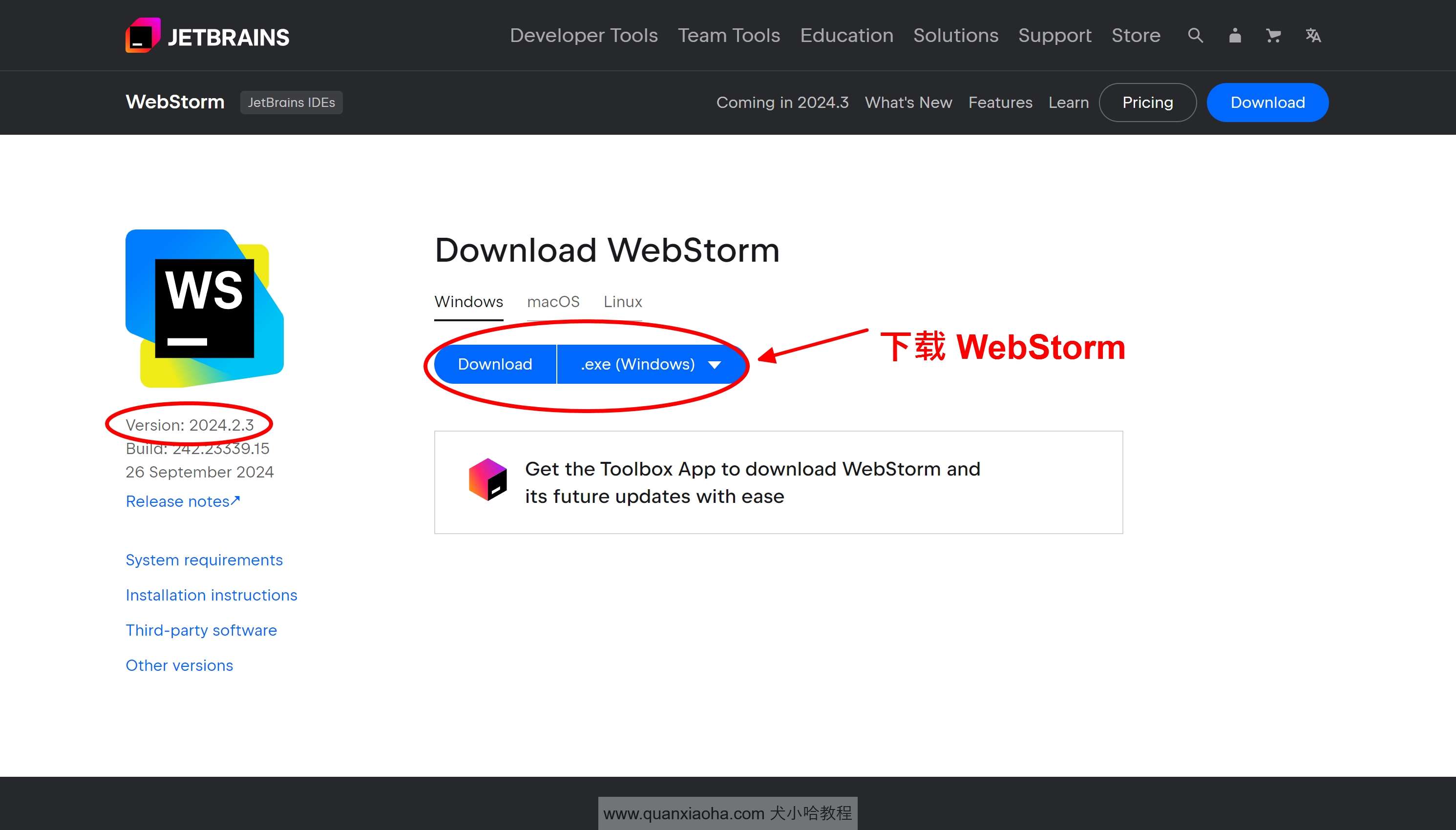 下载 Webstorm  2024.2.3 版本安装包