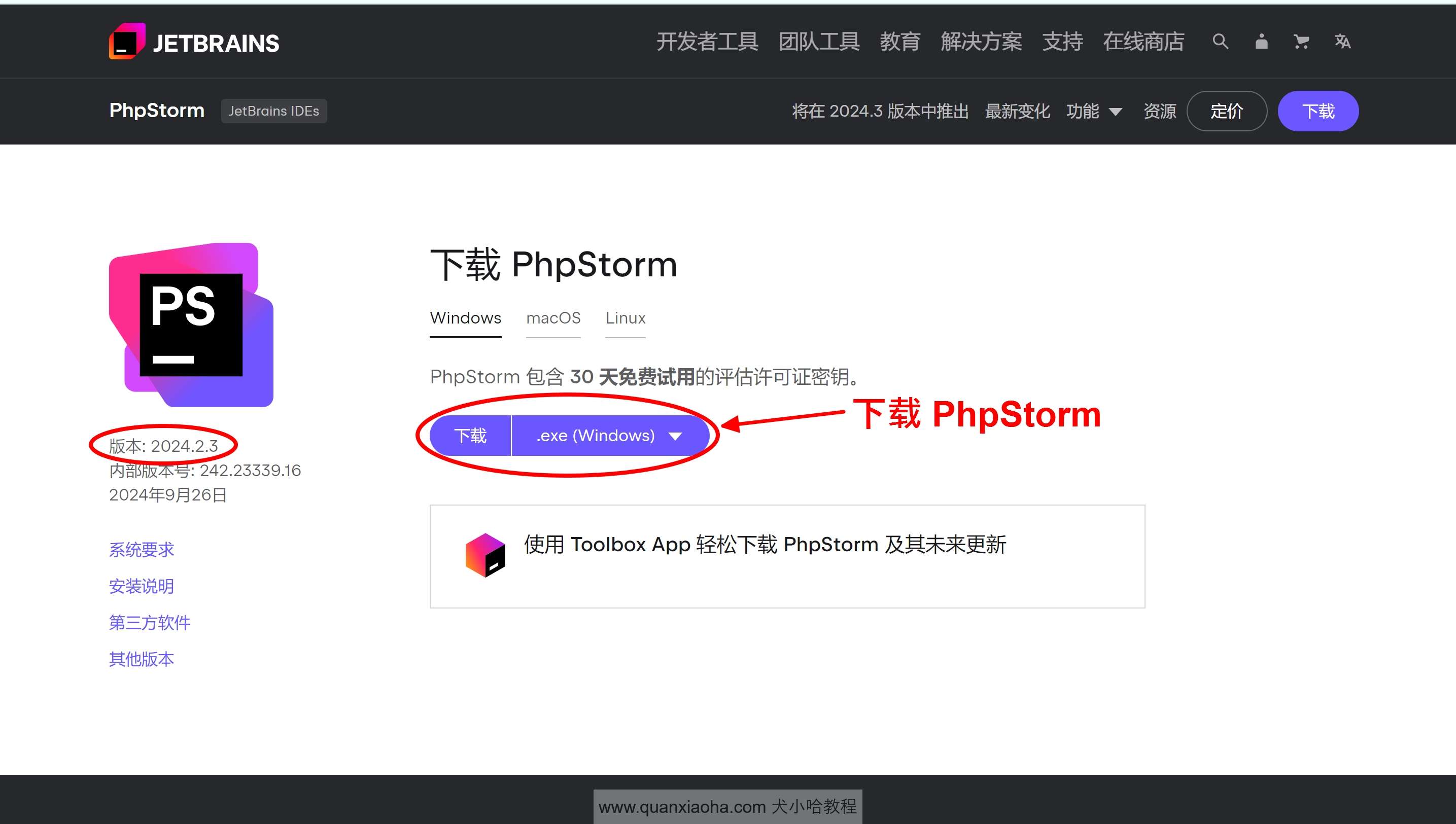 下载 PhpStorm  2024.2.3 版本安装包