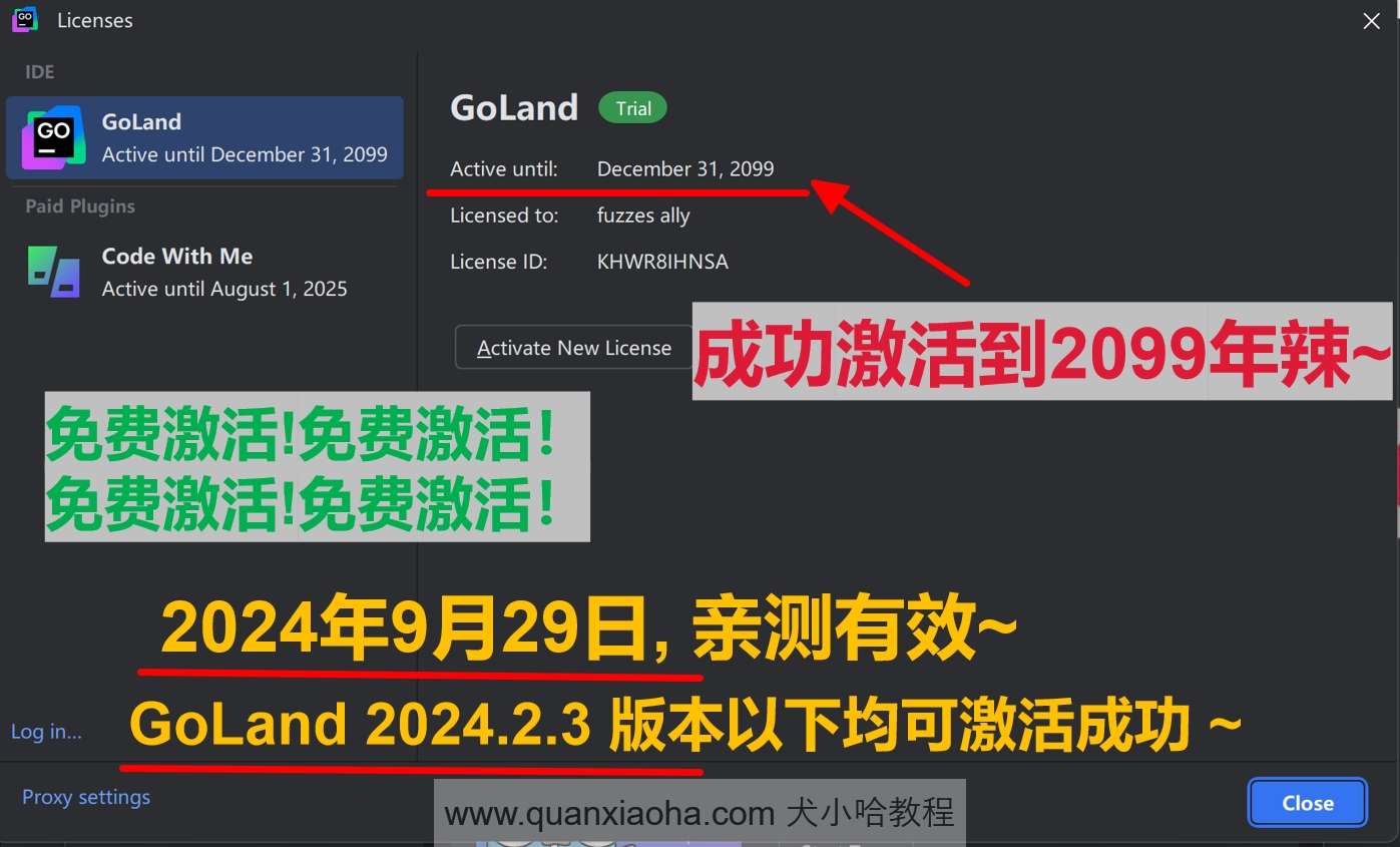 GoLand 2024.2.3 最新破解版安装教程（附激活码，至2099年~）