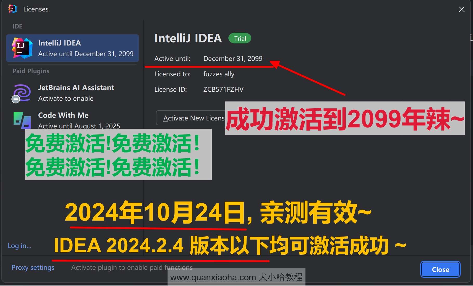 IDEA 2024.2.4 最新破解版安装教程（附激活码，至2099年~）