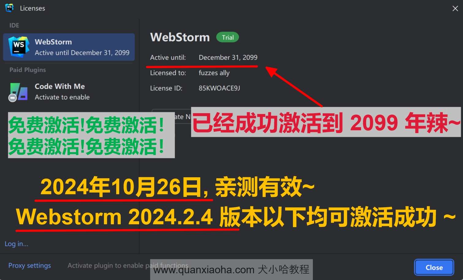 Webstorm  2024.2.4 版本激活到 2099 年截图