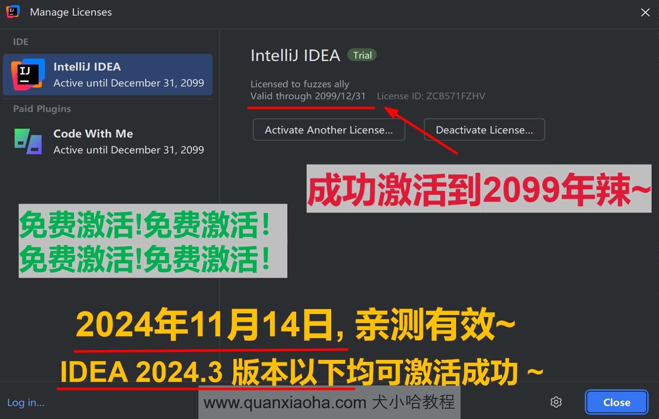IDEA 2024.3 最新破解版安装教程（附激活码，至2099年~）