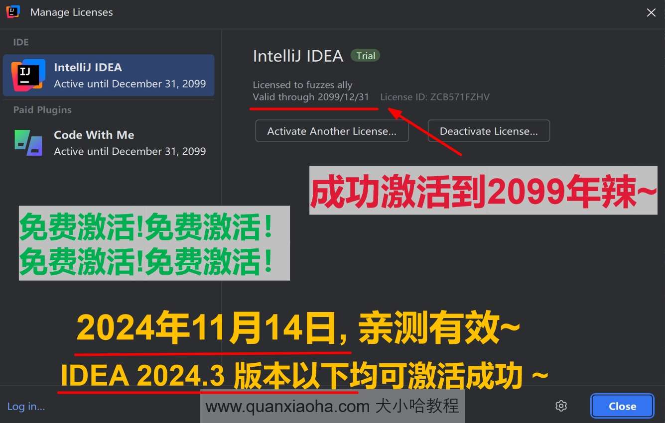 IDEA 2024.3 版本激活到 2099 年截图