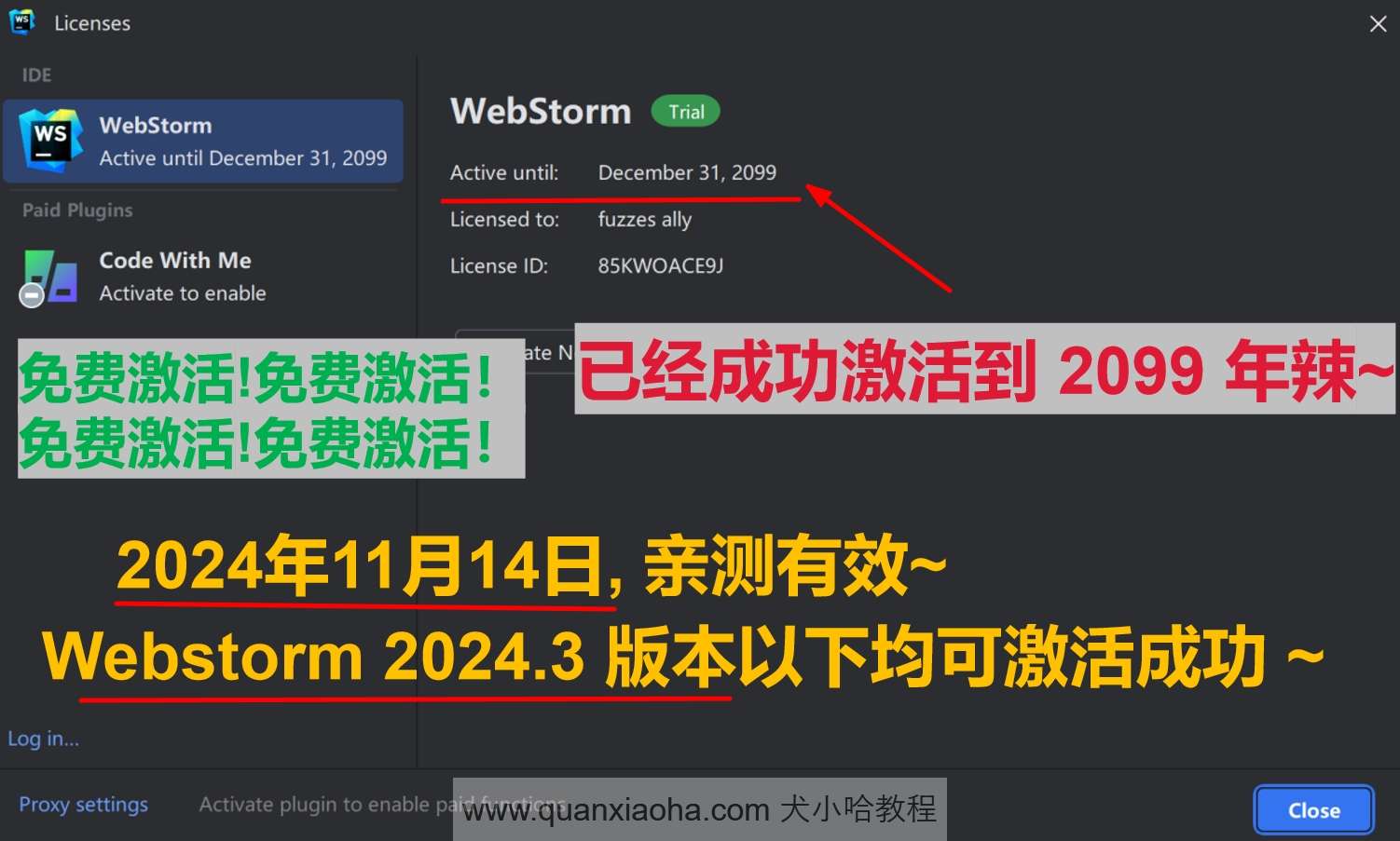 Webstorm  2024.3 版本激活到 2099 年截图