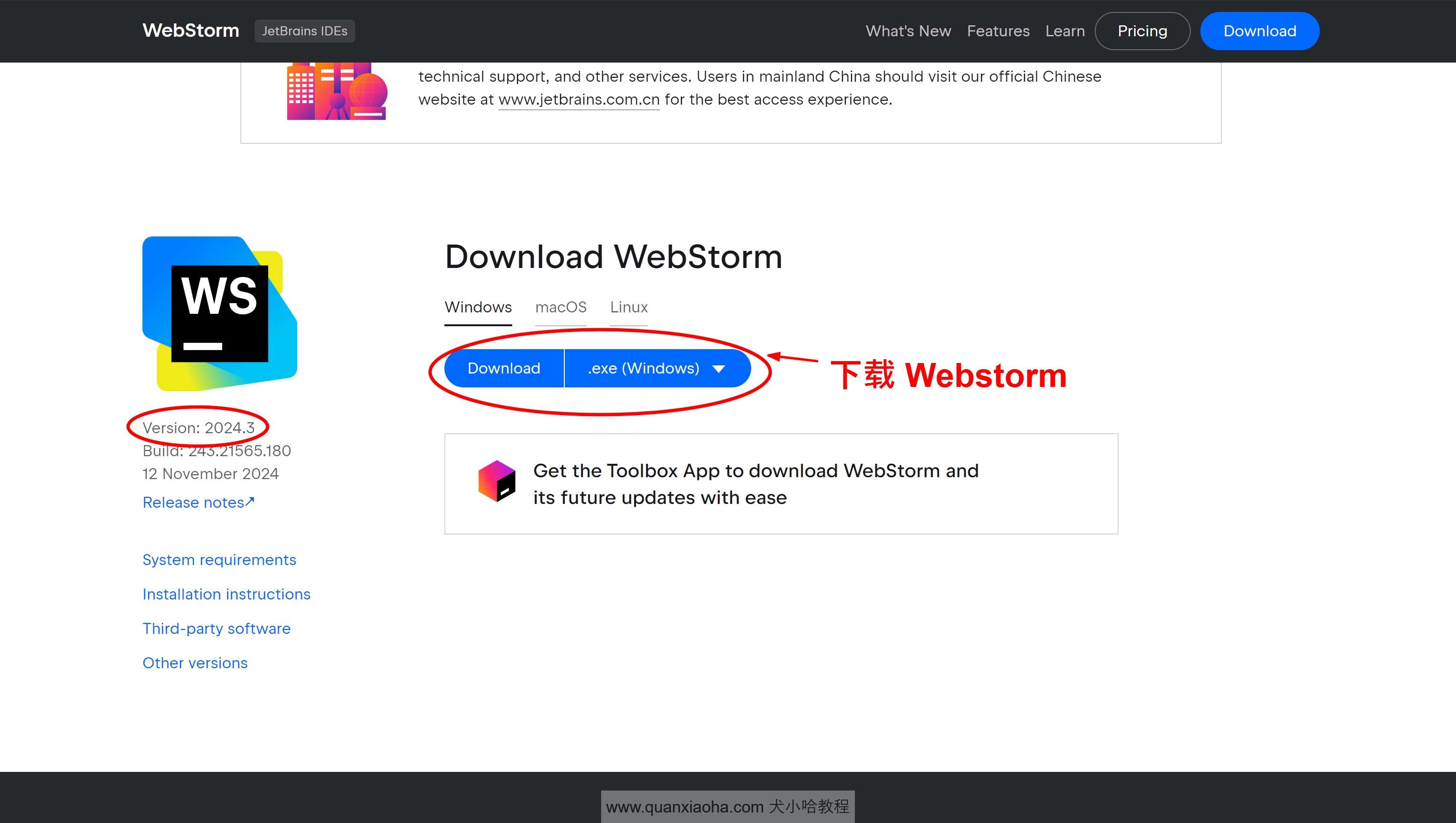 下载 Webstorm  2024.3 版本安装包