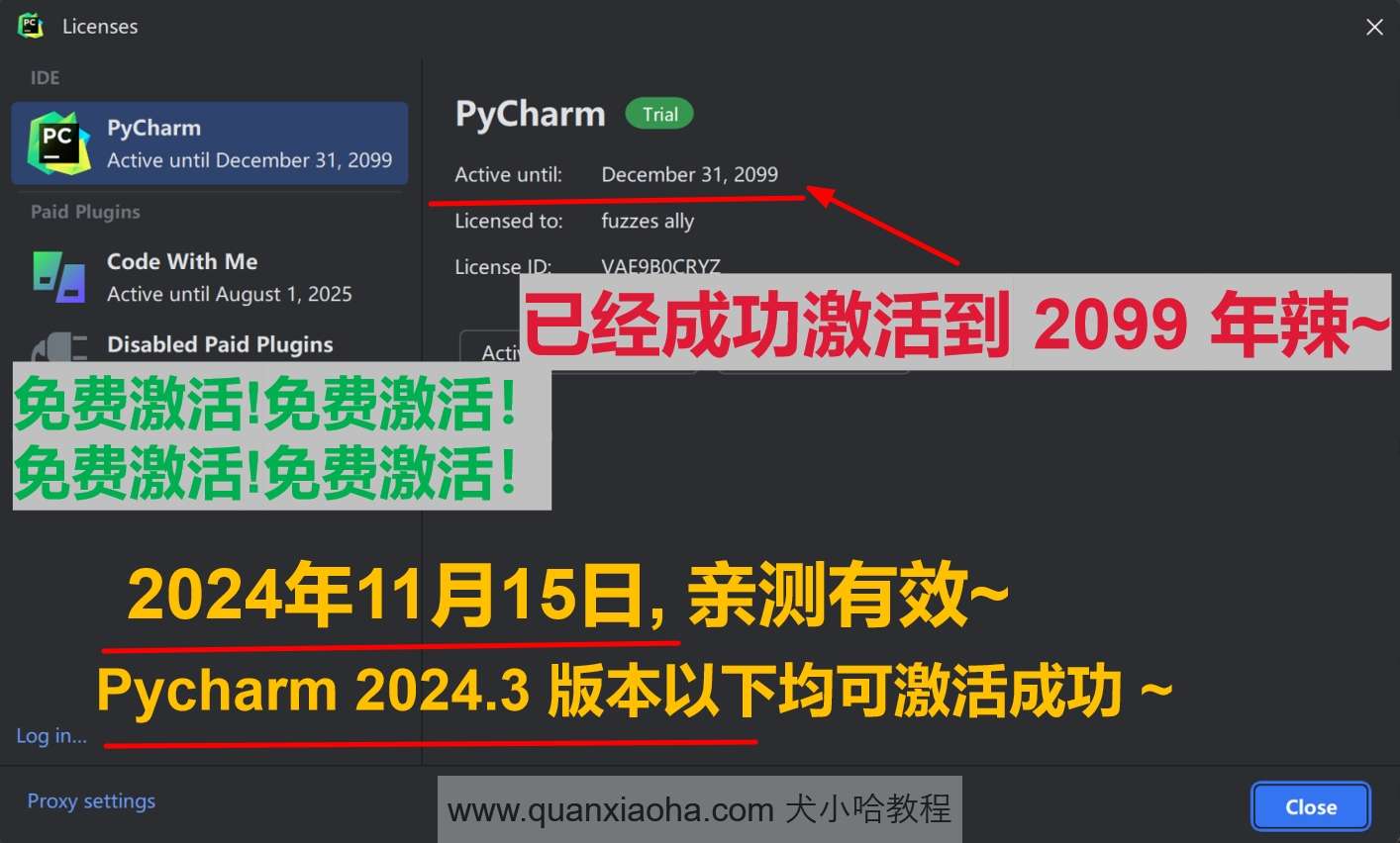 Pycharm  2024.3 版本激活到 2099 年截图