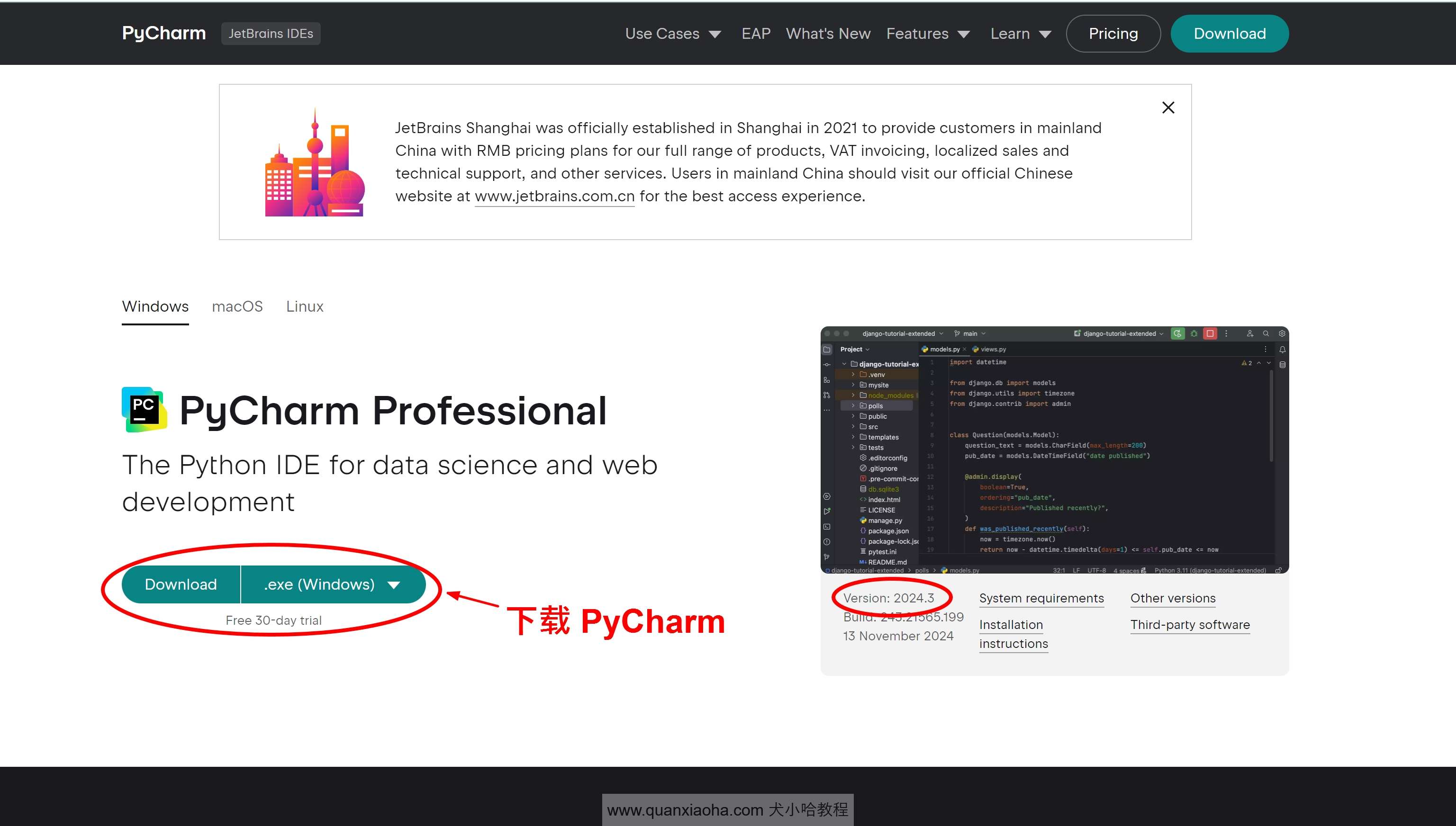 下载 Pycharm  2024.3 版本安装包