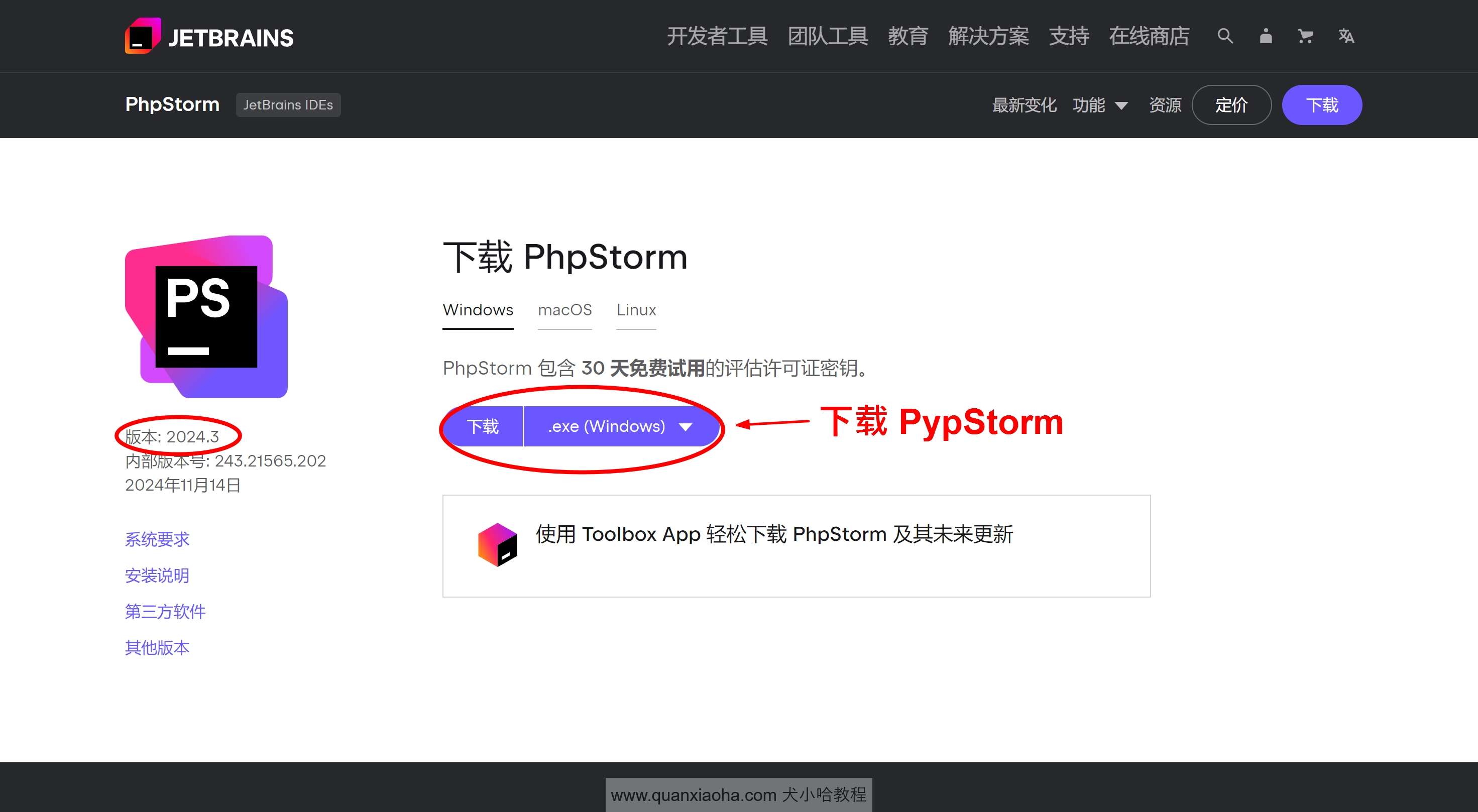 下载 PhpStorm  2024.3 版本安装包