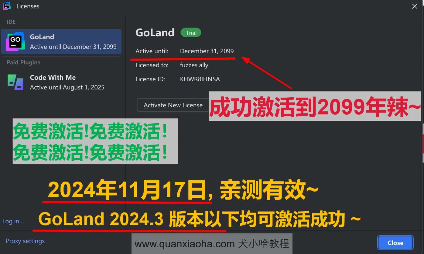 GoLand 2024.3 版本激活到 2099 年截图