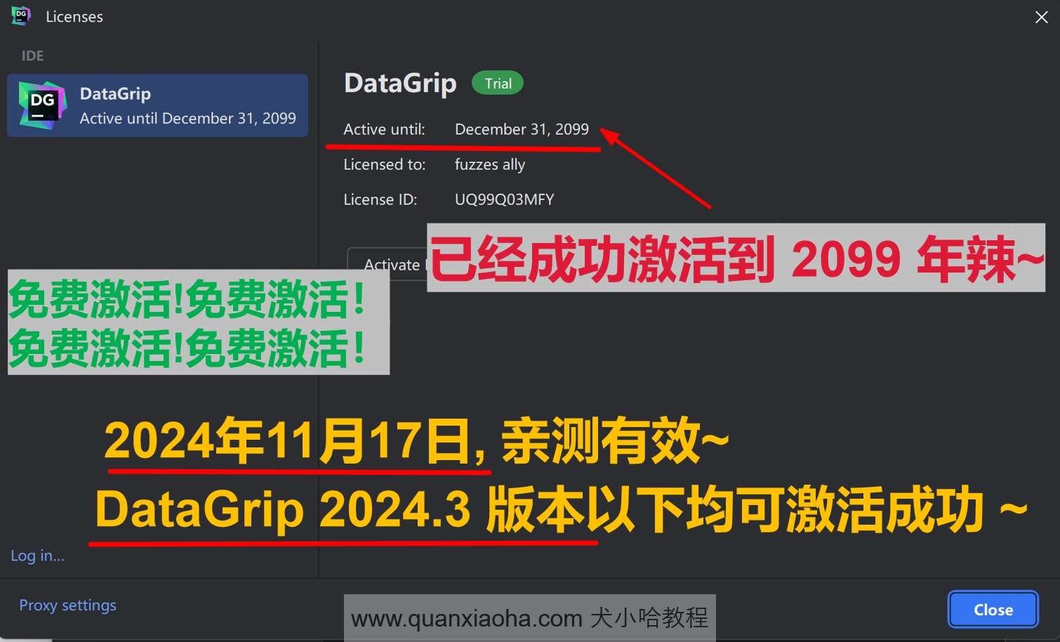 DataGrip 2024.3 版本激活到 2099 年截图