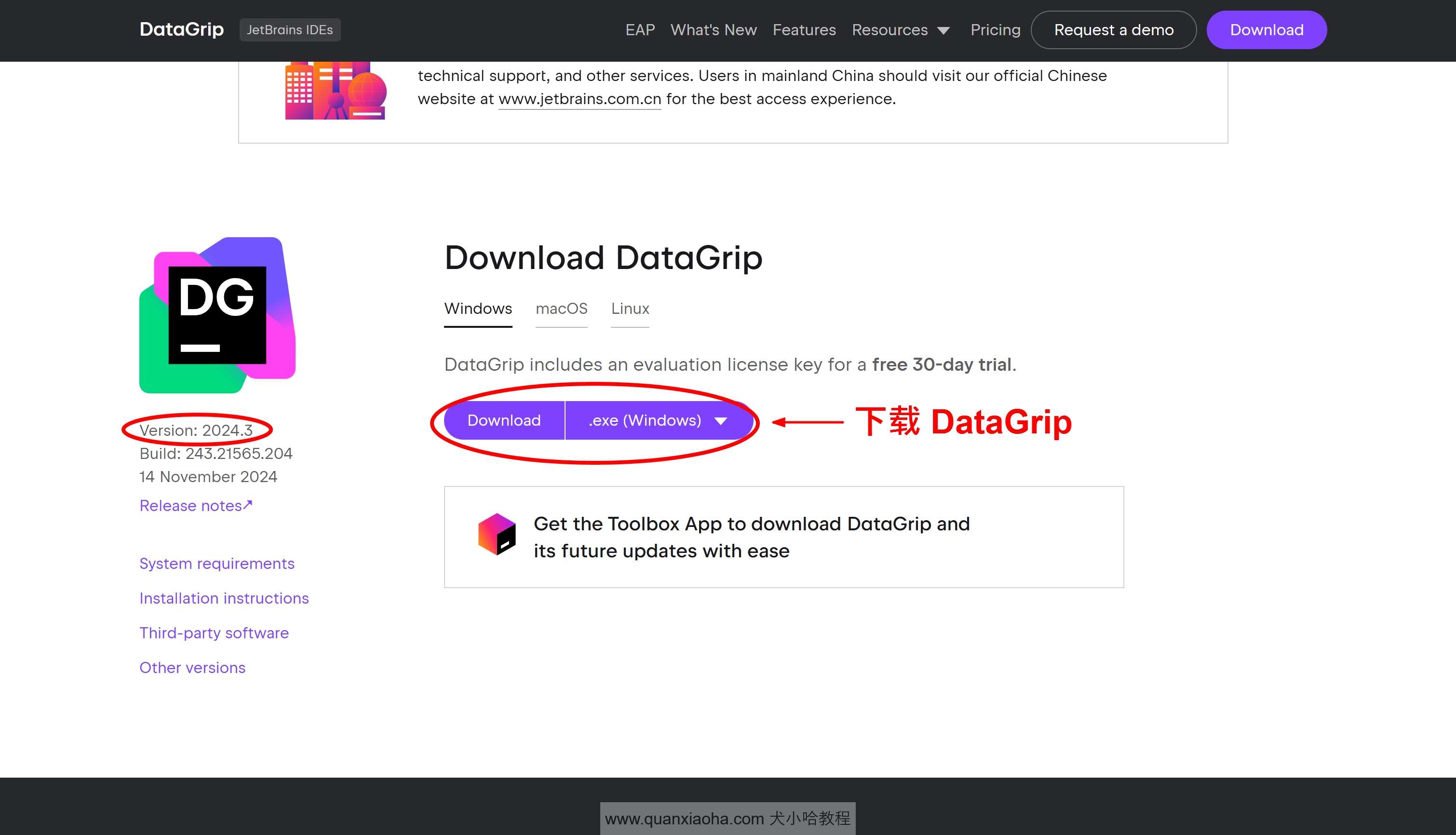 下载 DataGrip 2024.3 版本安装包