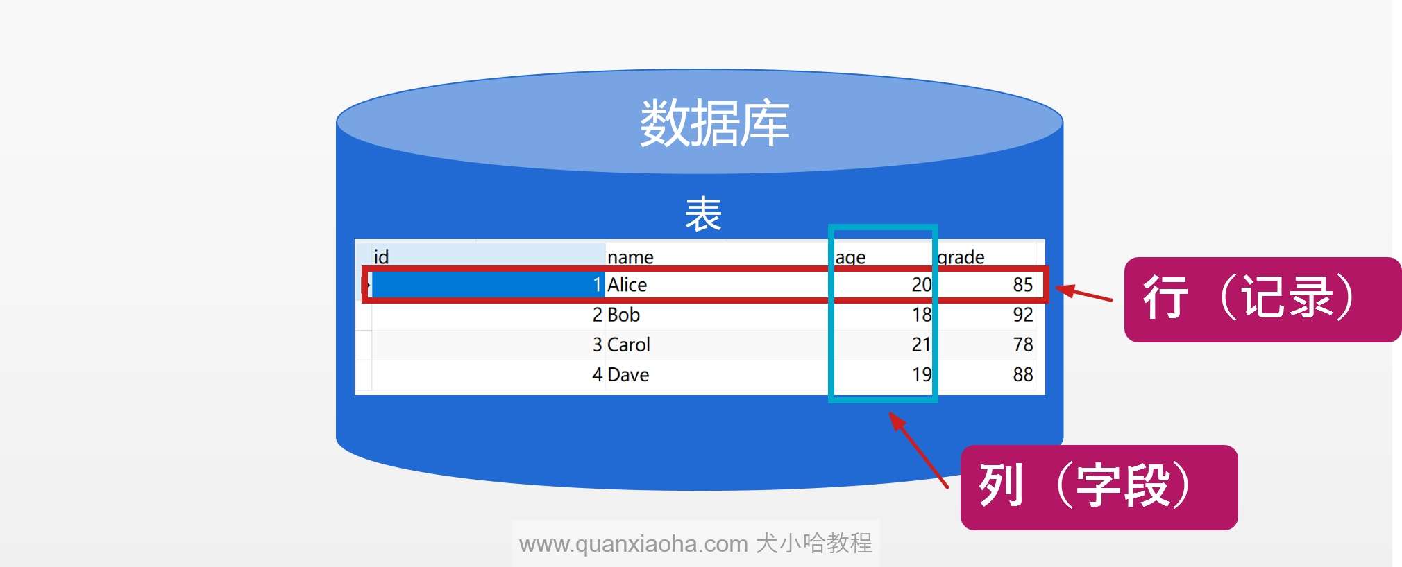 MySQL 数据库、行（记录）、列（字段）