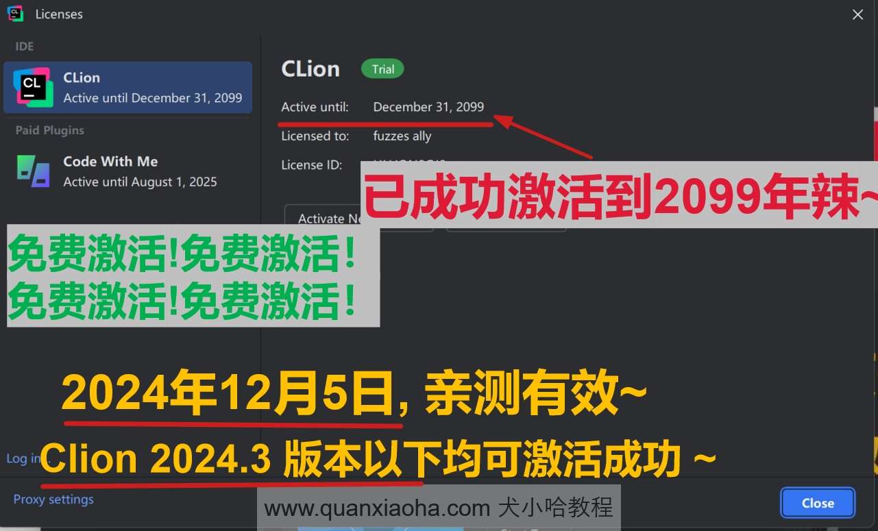 Clion 2024.3 最新破解版安装教程（附激活码，至2099年~）
