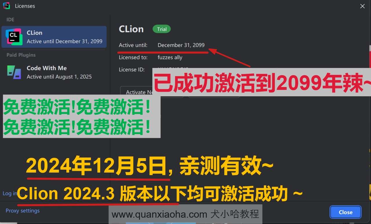 Clion 2024.3 最新破解版安装教程（附激活码，至2099年~）-软技收集