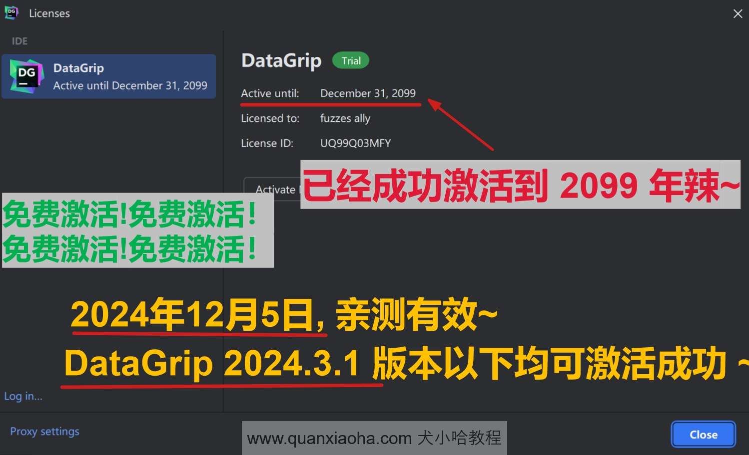 DataGrip 2024.3.1 最新破解版安装教程（附激活码,至2099年~）