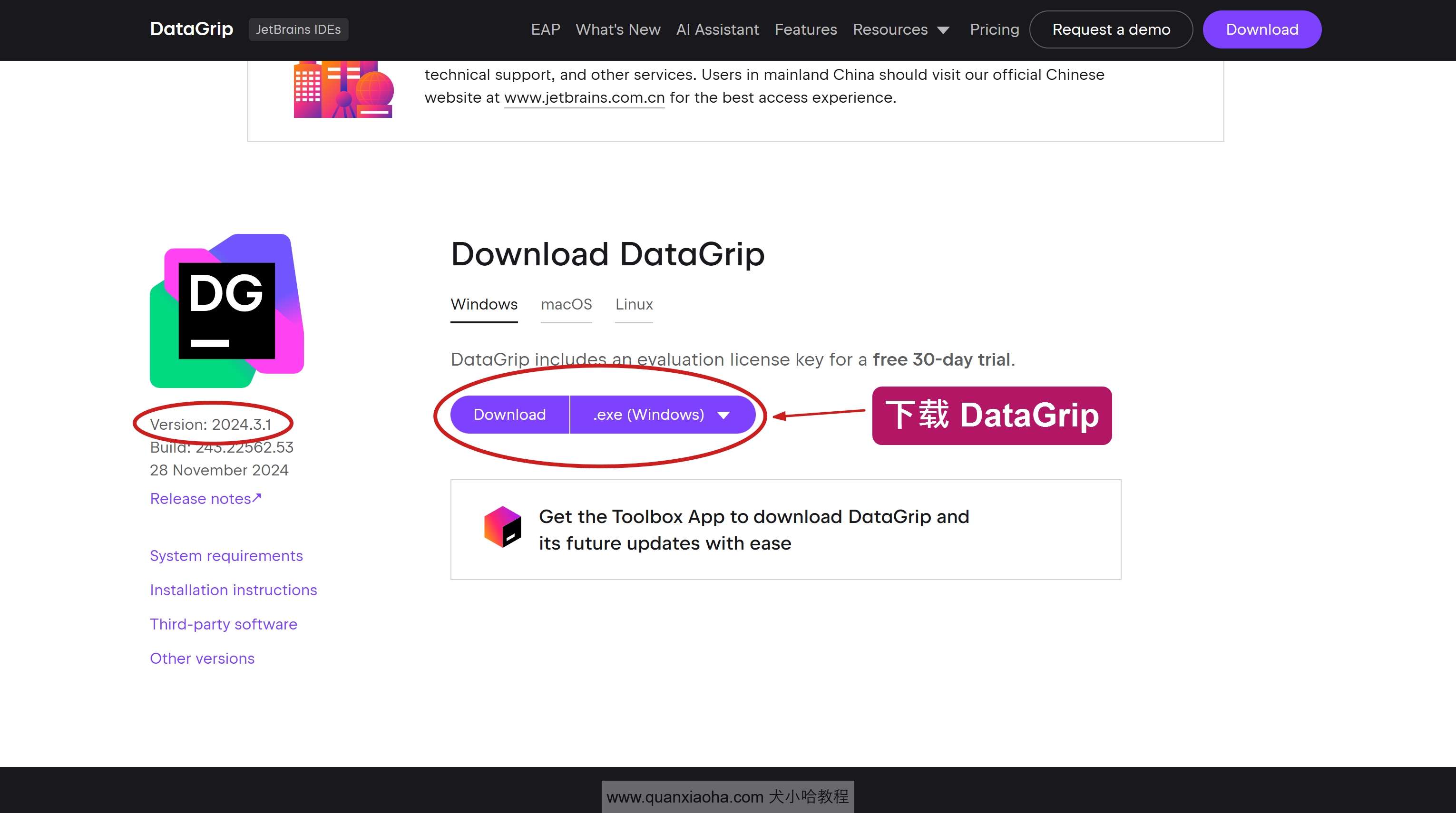 下载 DataGrip 2024.3.1 版本安装包