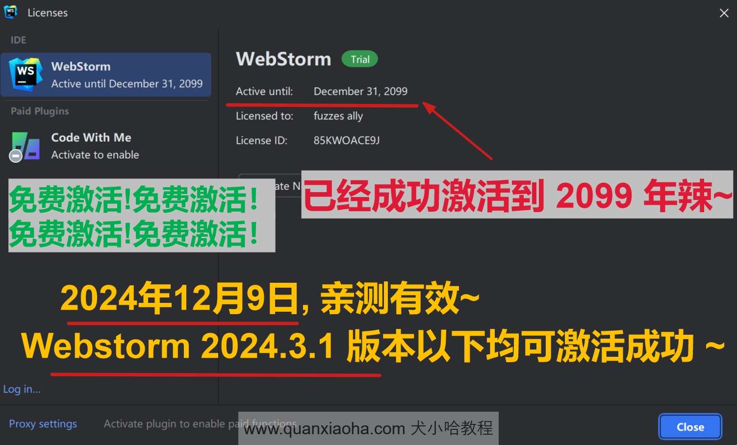 Webstorm 2024.3.1 最新破解版安装教程（附激活码,至2099年~）-软技收集