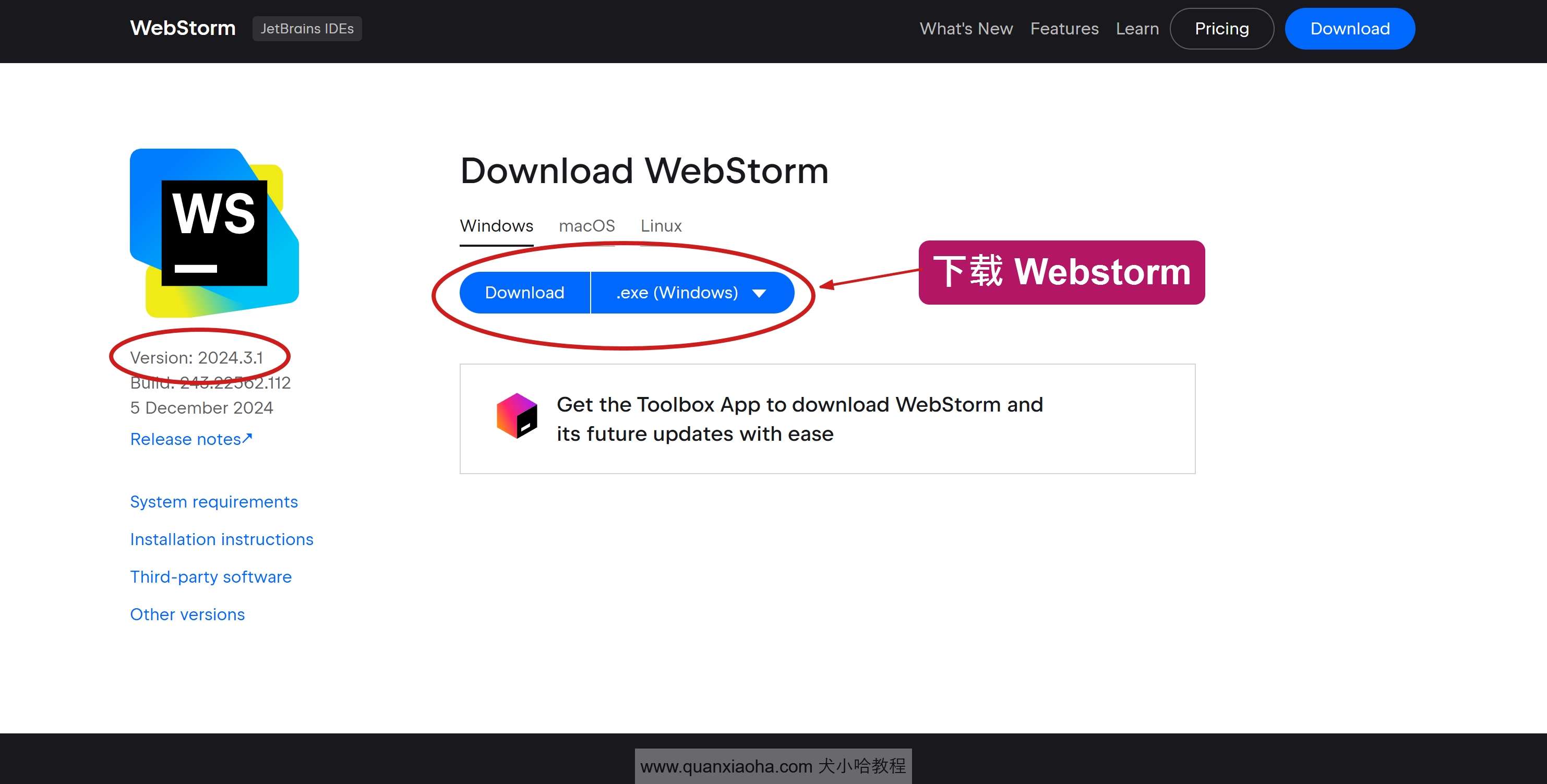 下载 Webstorm  2024.3.1 版本安装包