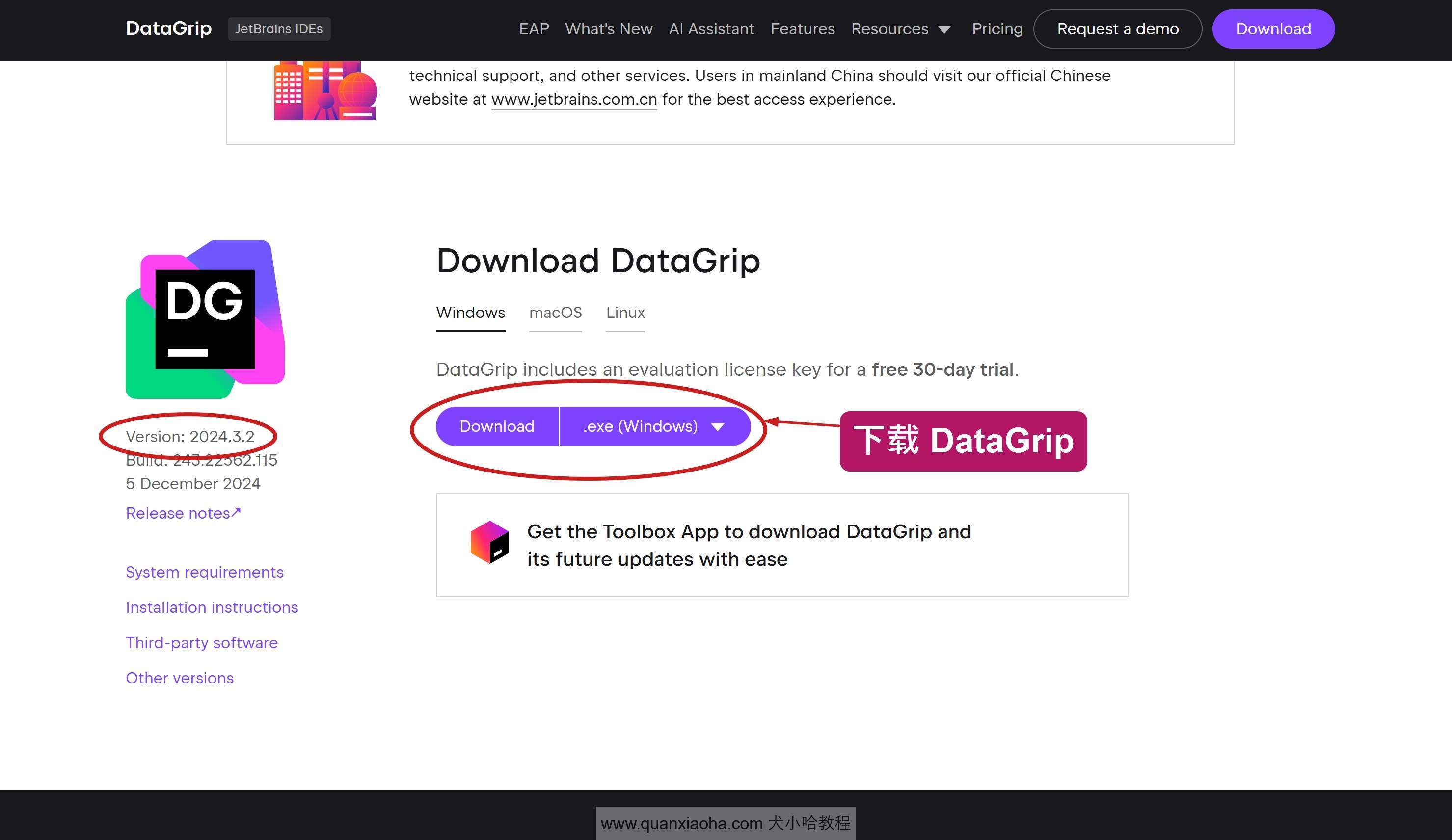 下载 DataGrip 2024.3.2 版本安装包