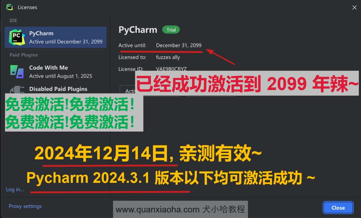 Pycharm  2024.3.1 版本激活到 2099 年截图