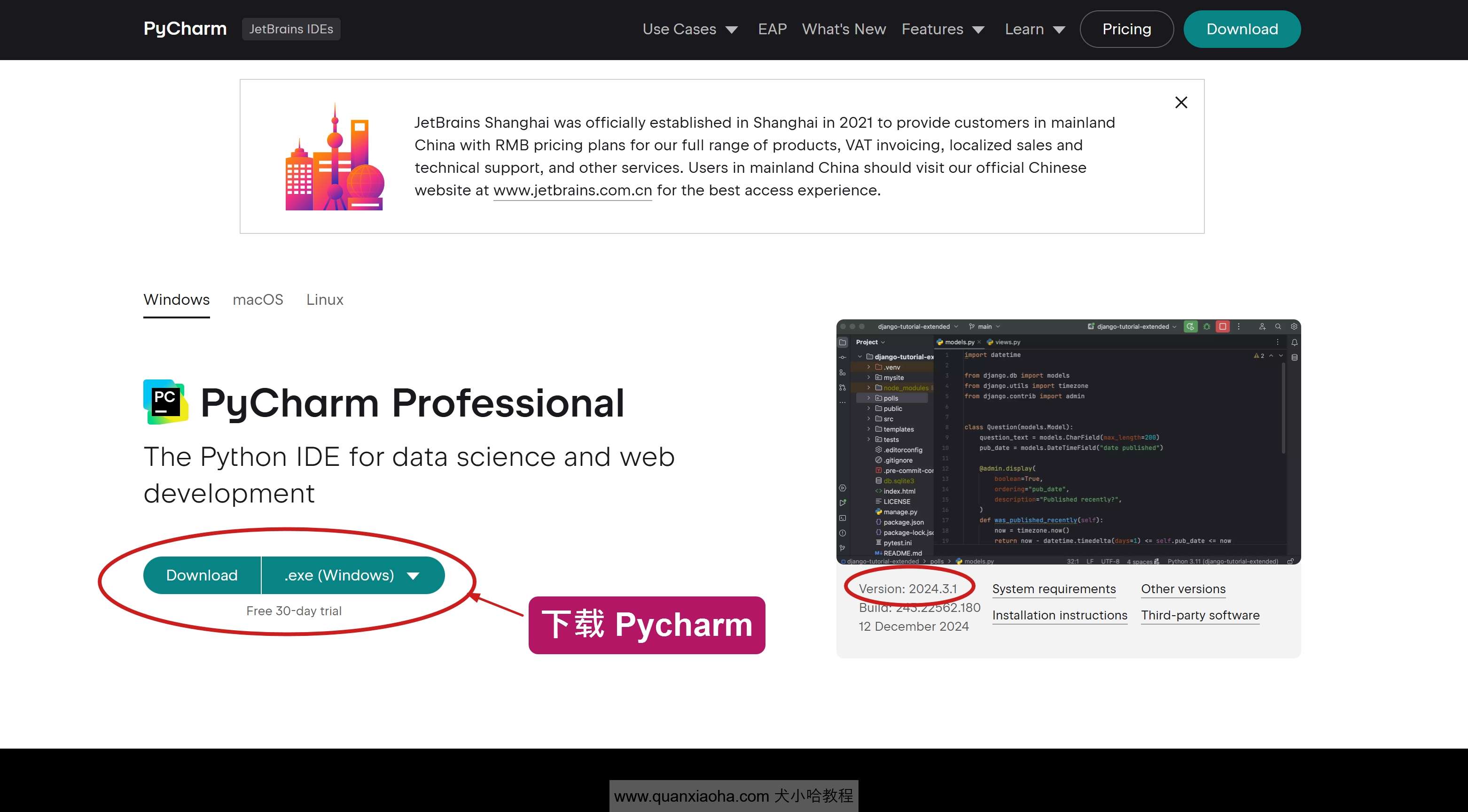 下载 Pycharm  2024.3.1 版本安装包