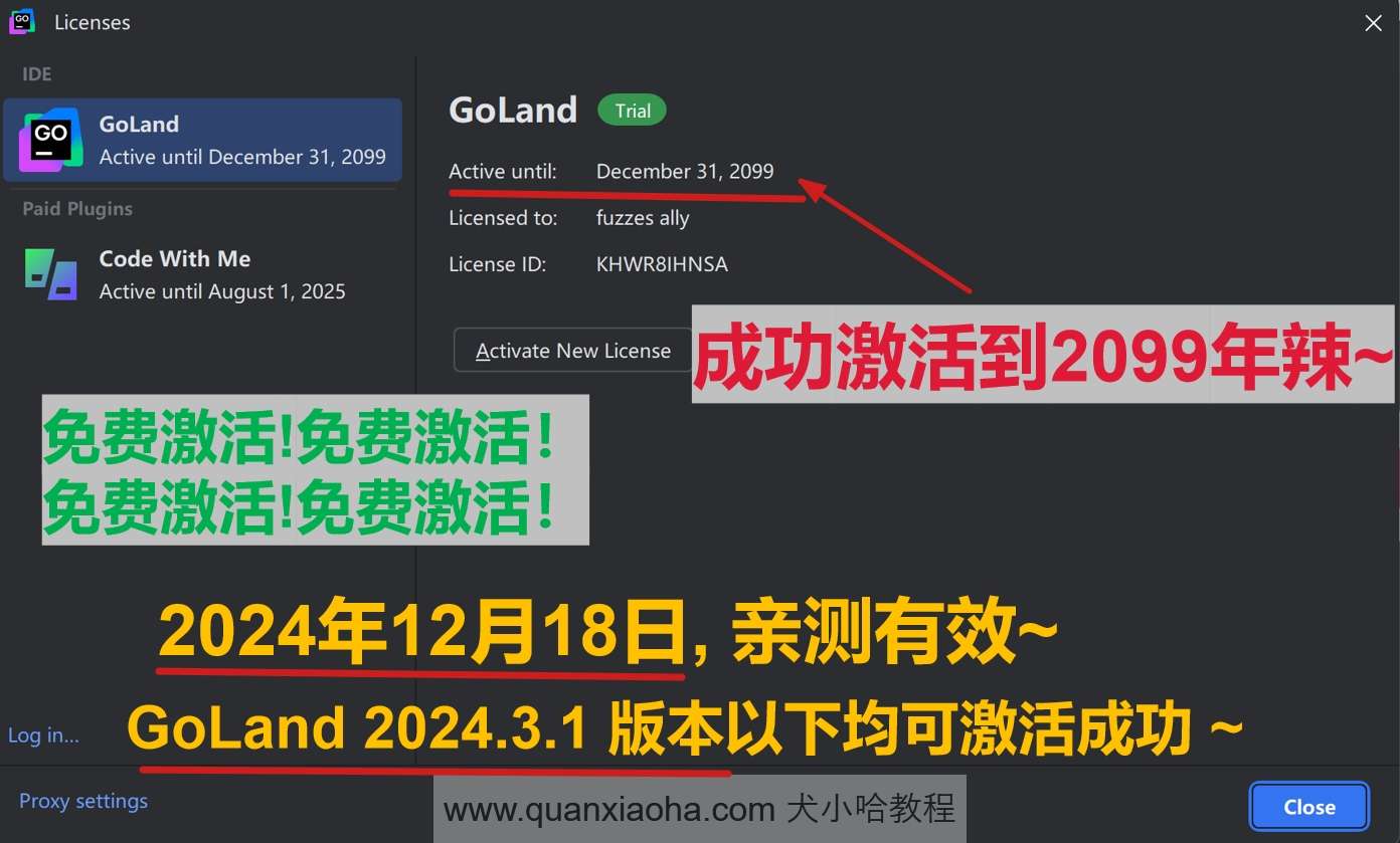 GoLand 2024.3.1 最新破解版安装教程（附激活码，至2099年~）