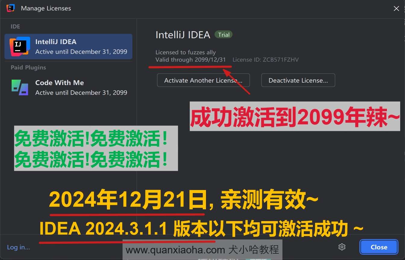 IDEA 2024.3.1.1 版本激活到 2099 年截图