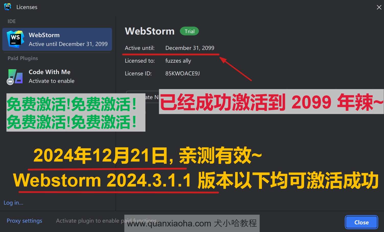 Webstorm 2024.3.1.1 最新破解版安装教程（附激活码,至2099年~）