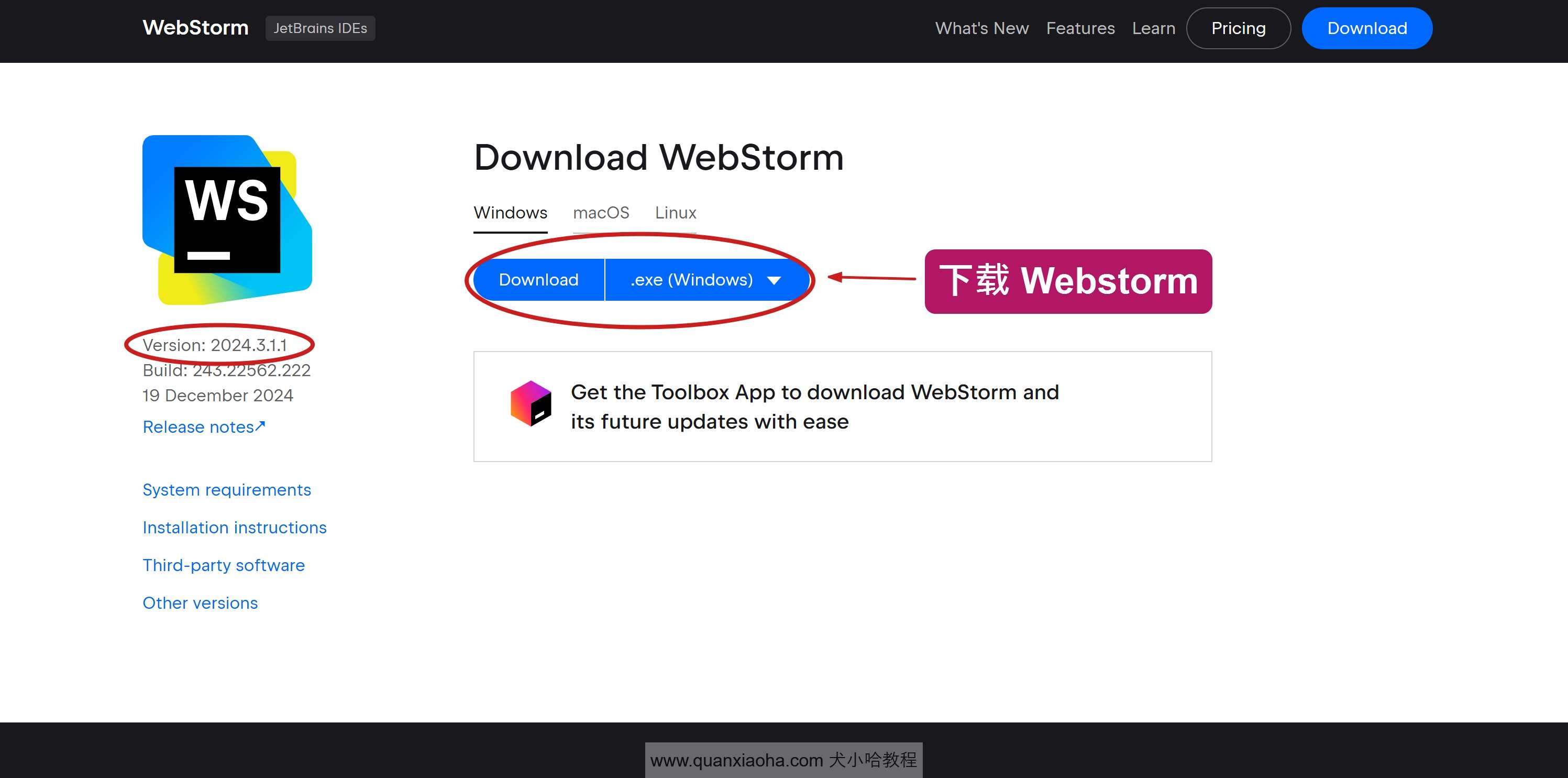 下载 Webstorm  2024.3.1.1 版本安装包