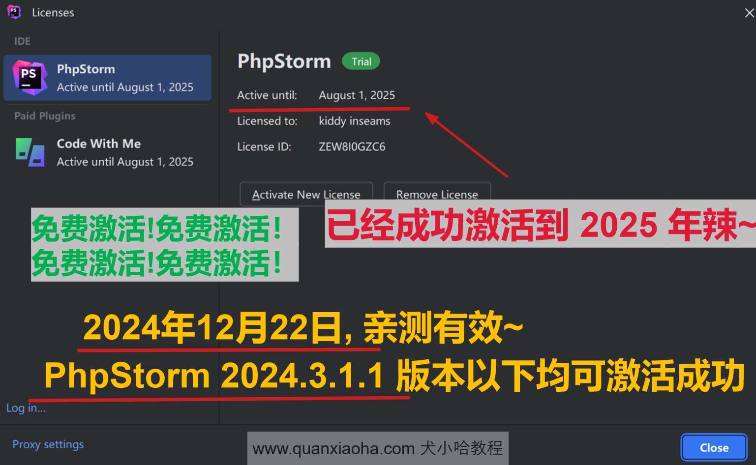 PhpStorm 2024.3.1.1 版本激活到 2025 年截图