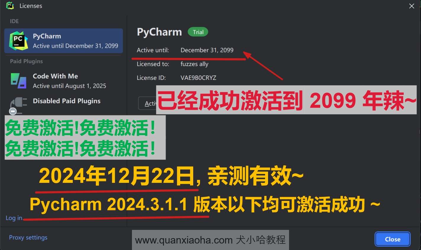 Pycharm  2024.3.1.1 版本激活到 2099 年截图