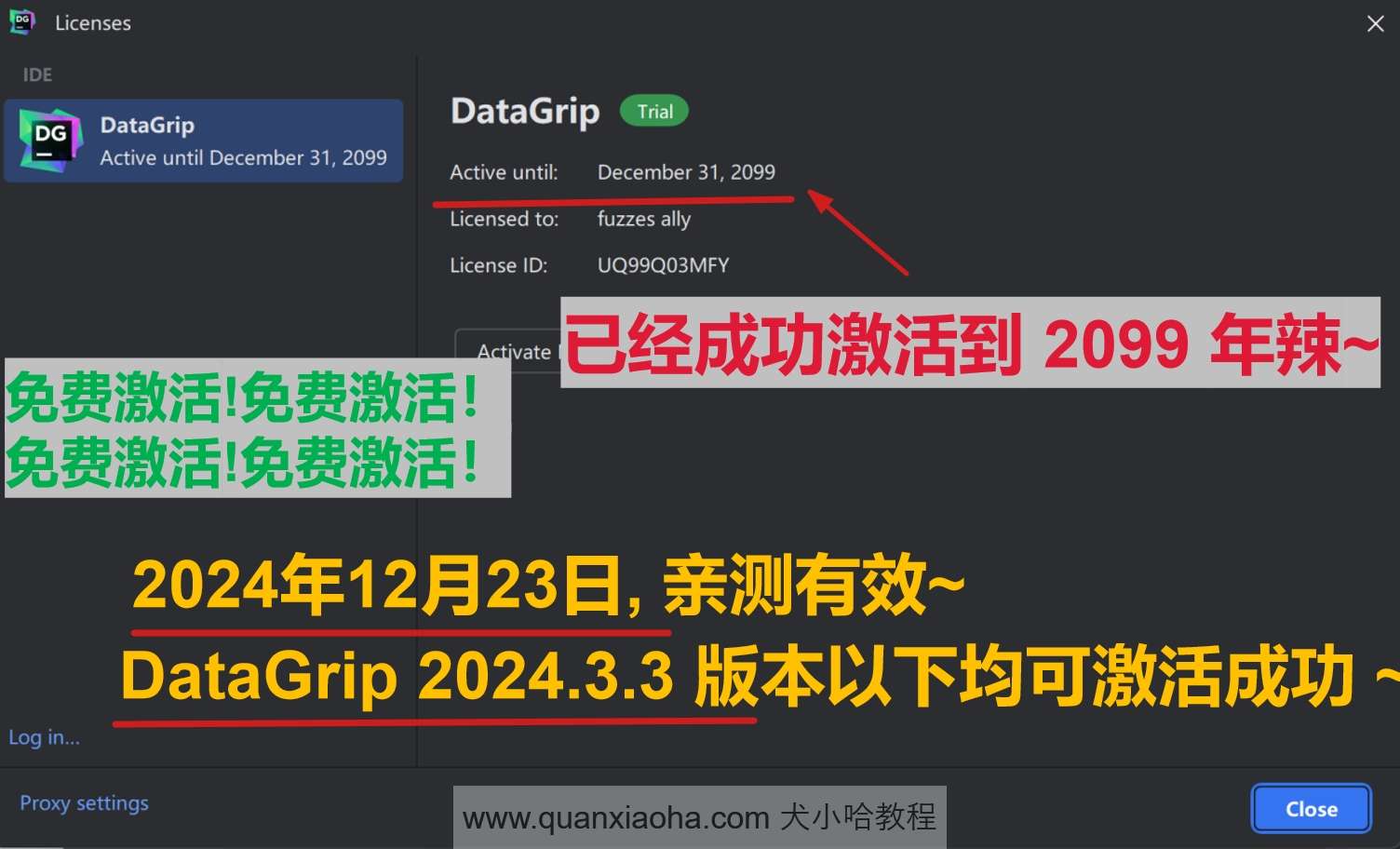 DataGrip 2024.3.3 版本激活到 2099 年截图