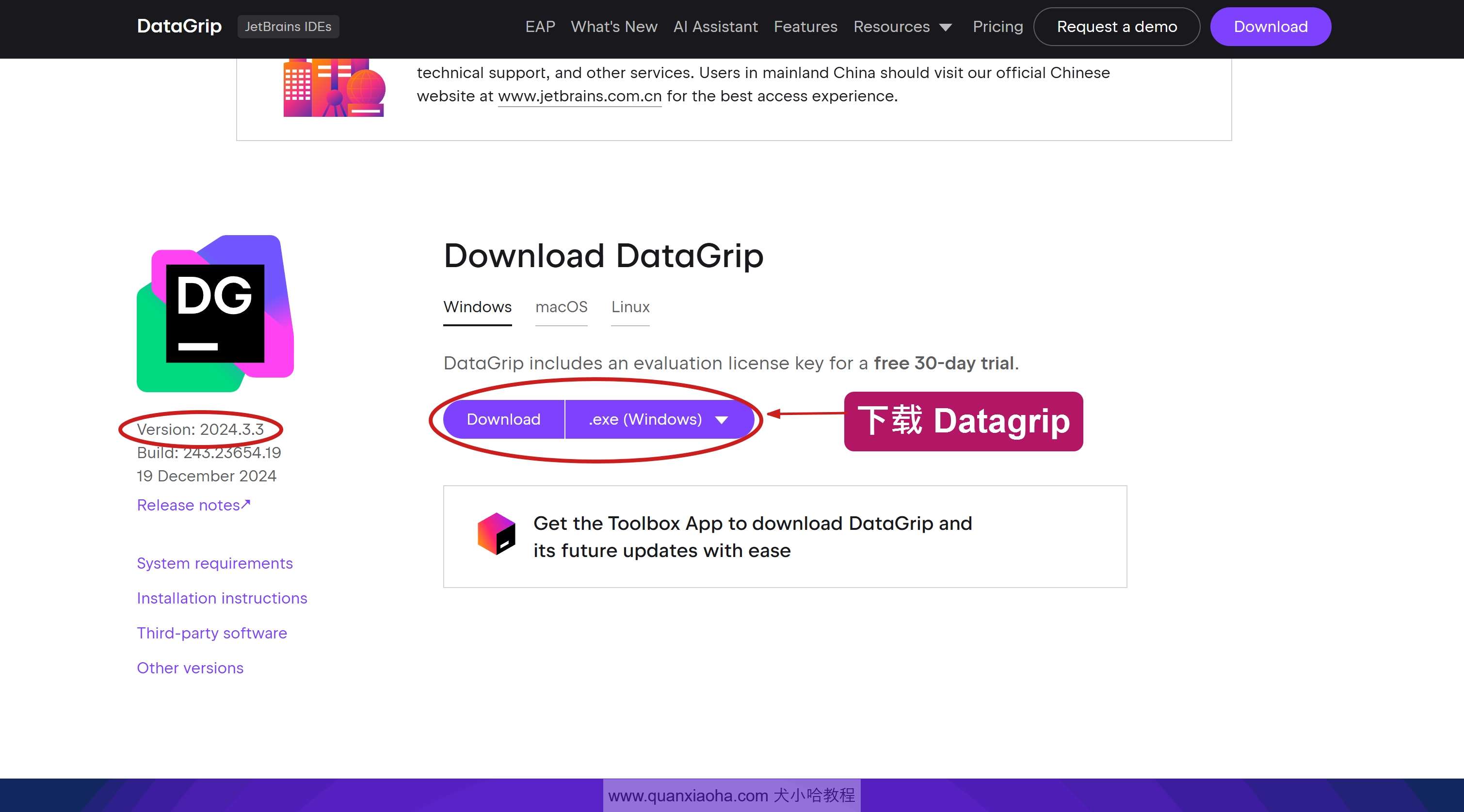 下载 DataGrip 2024.3.3 版本安装包